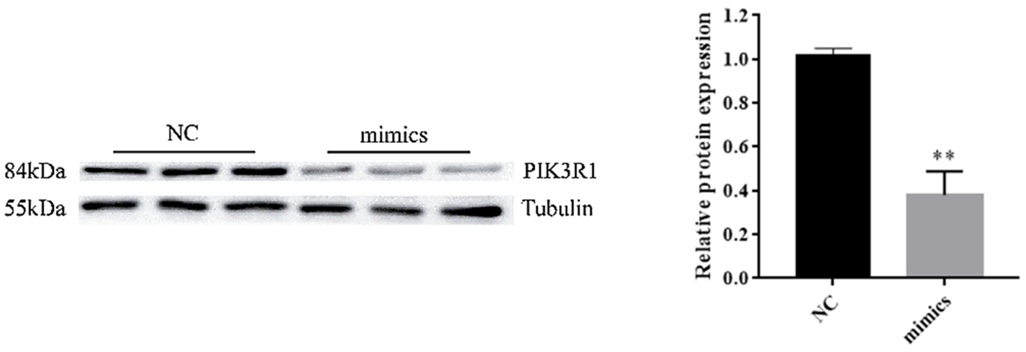 Animals 11 03053 g005