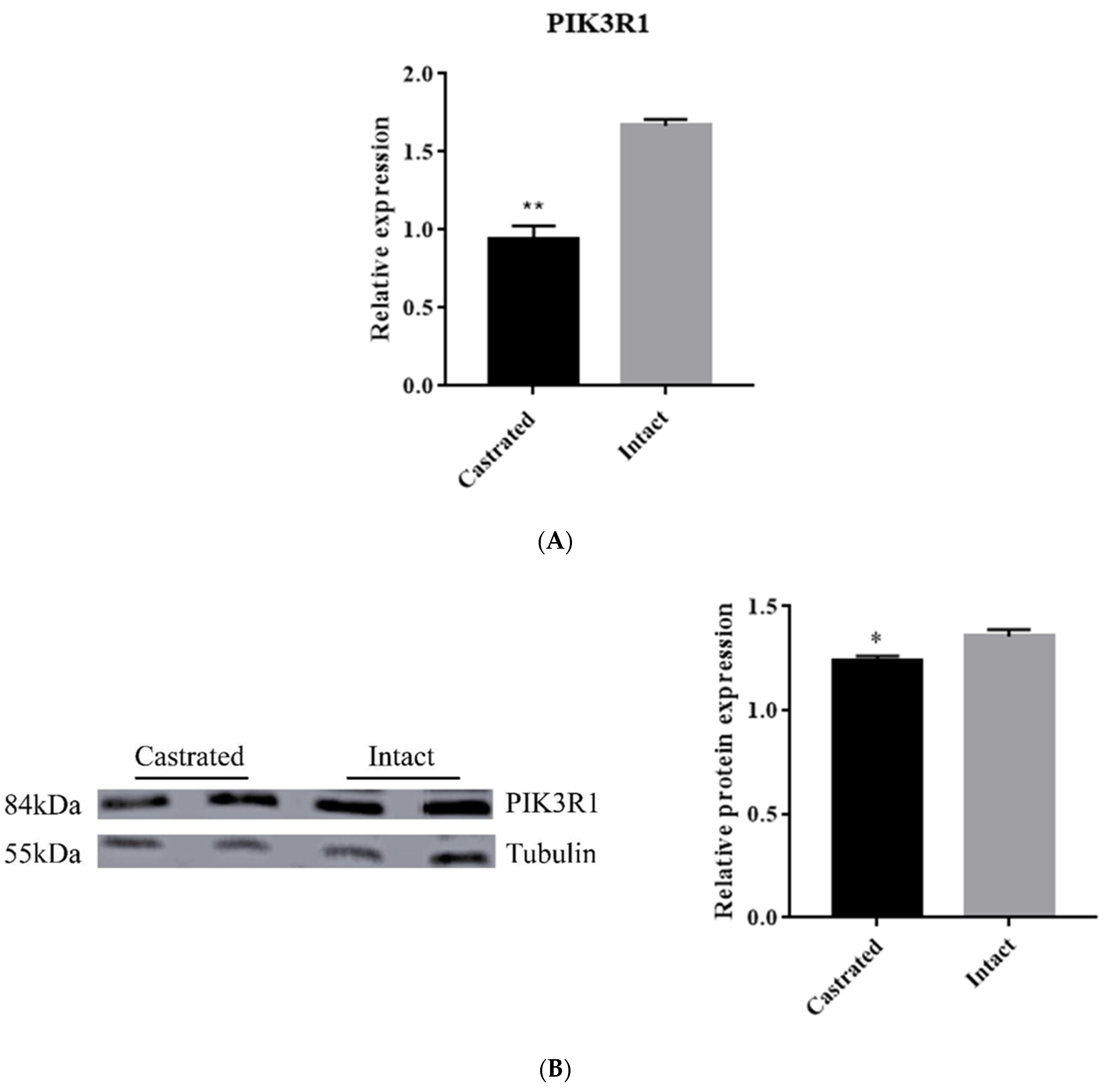 Animals 11 03053 g006