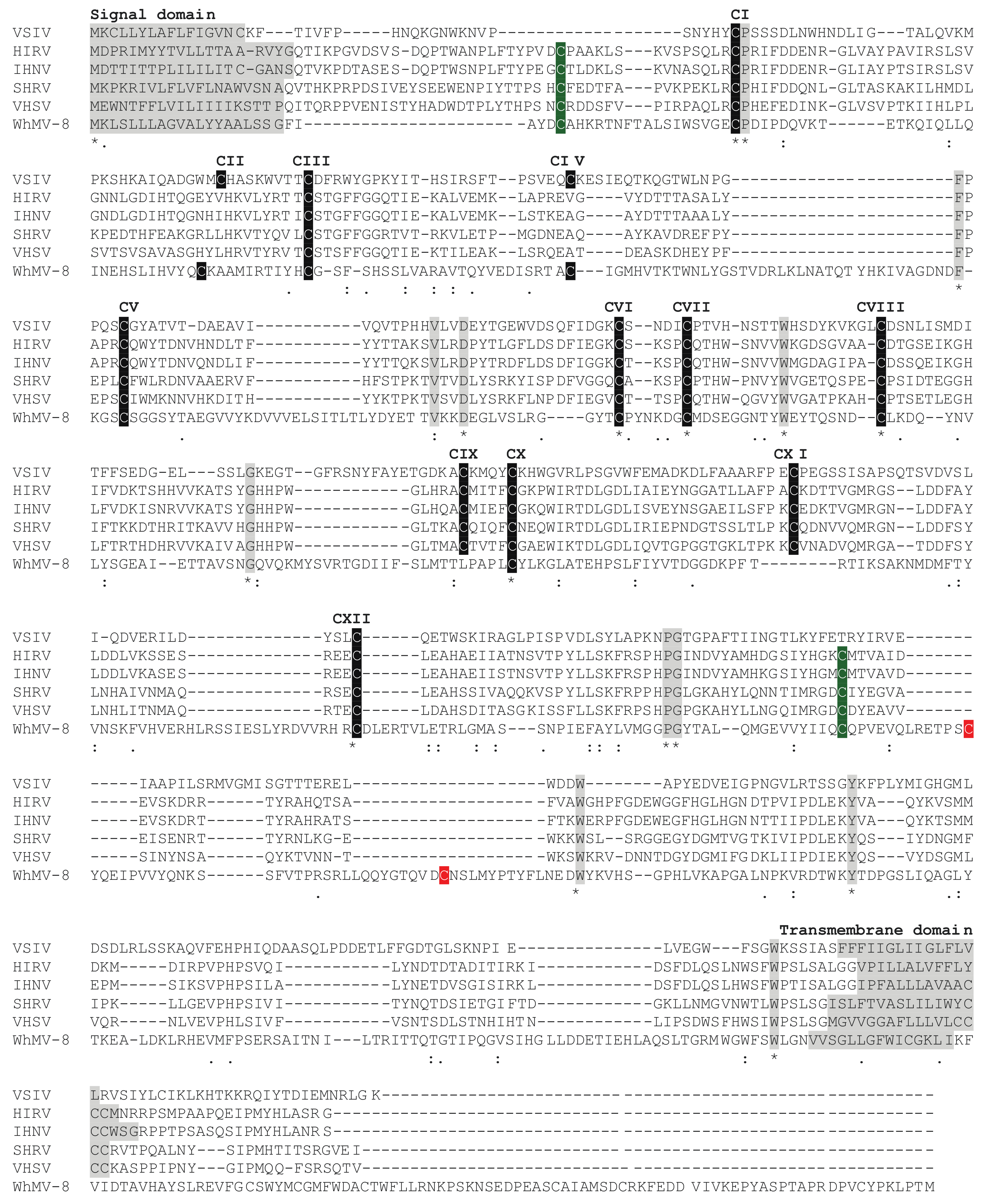 Animals 12 01363 g003