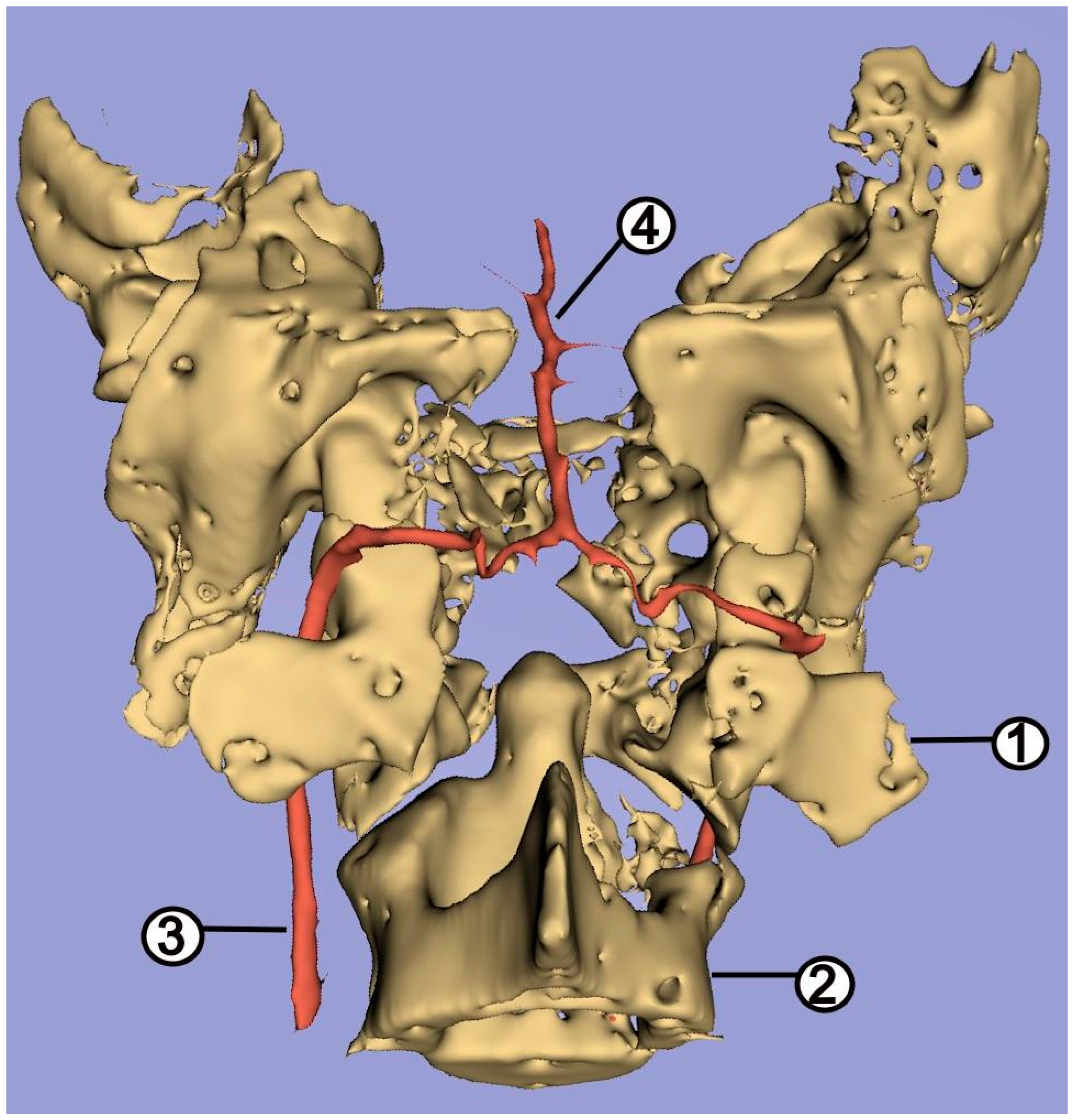 Animals 12 02796 g006