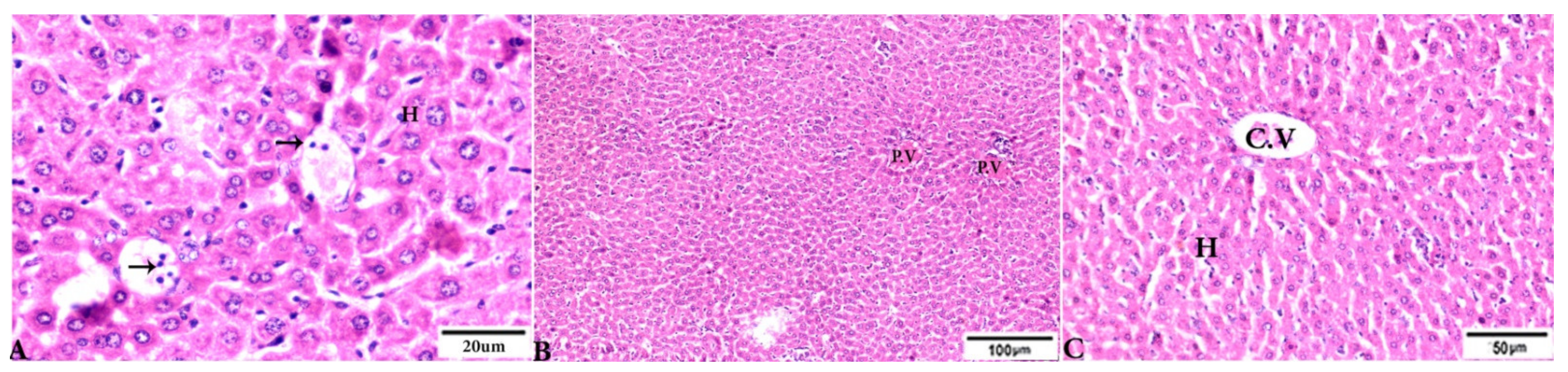 Animals 12 03069 g005 Animals 12 03069 g005