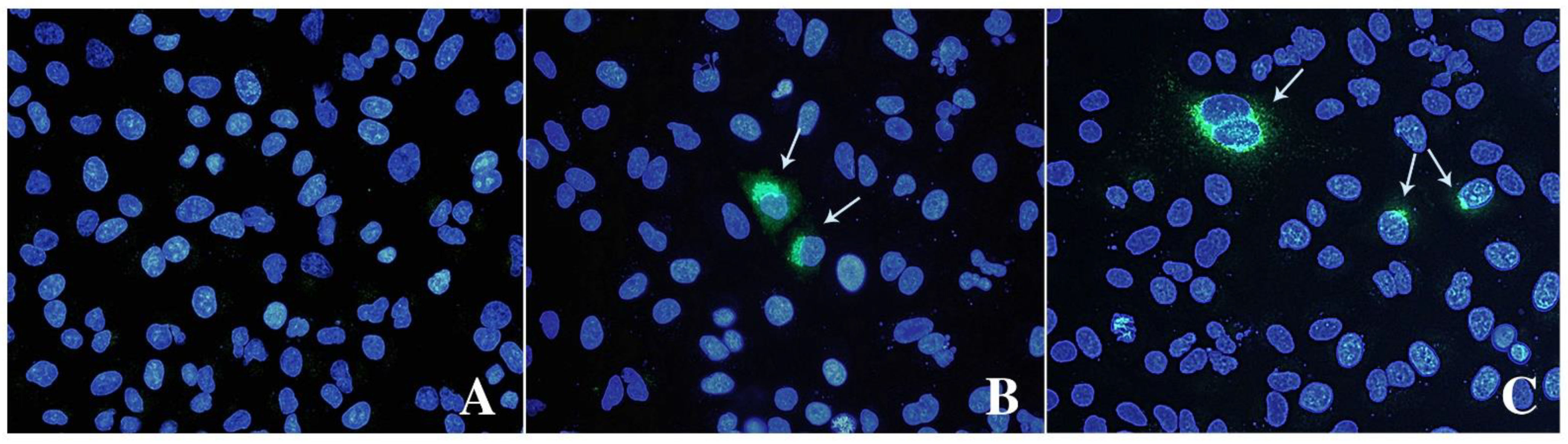 Animals 13 00276 g003 Animals 13 00276 g003