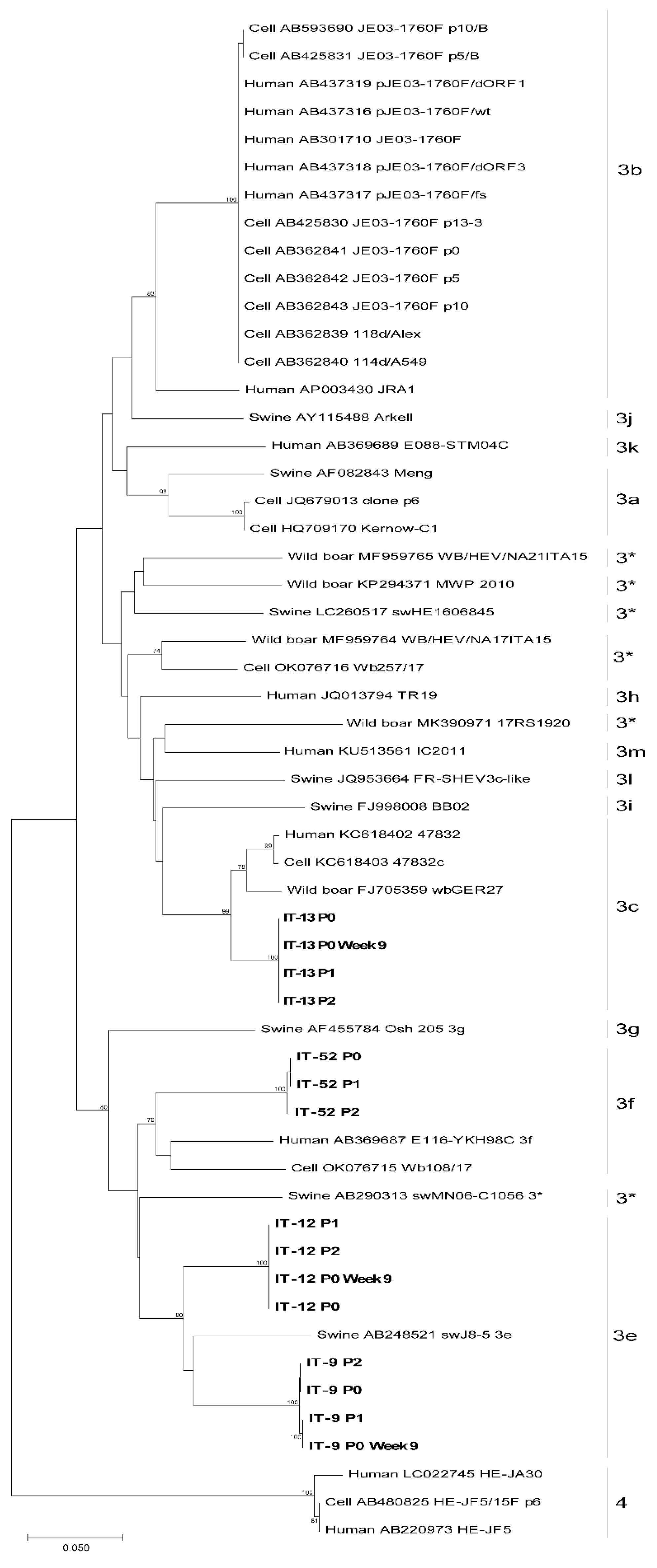 Animals 13 00276 g005 Animals 13 00276 g005