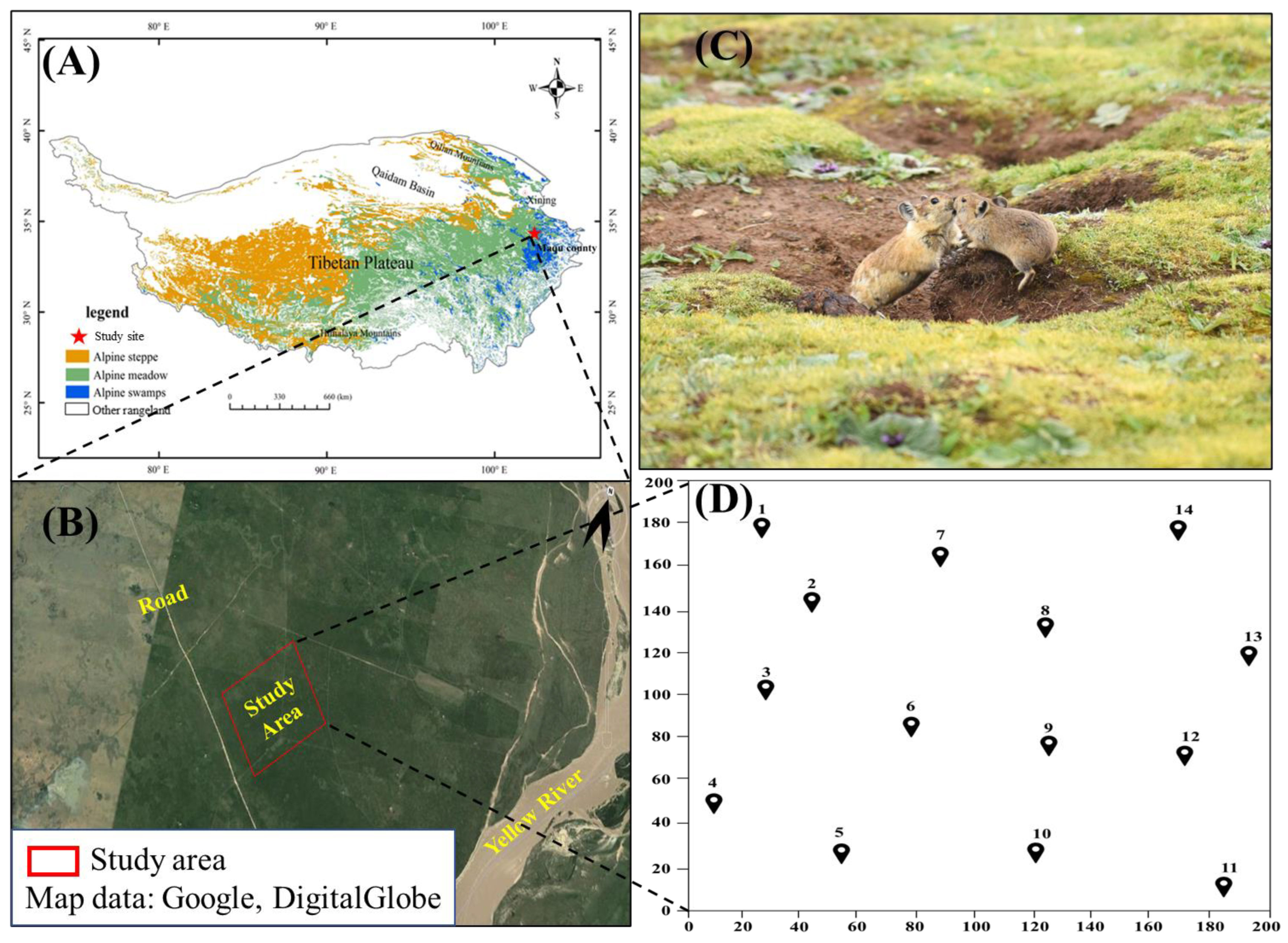 Animals 13 01689 g001