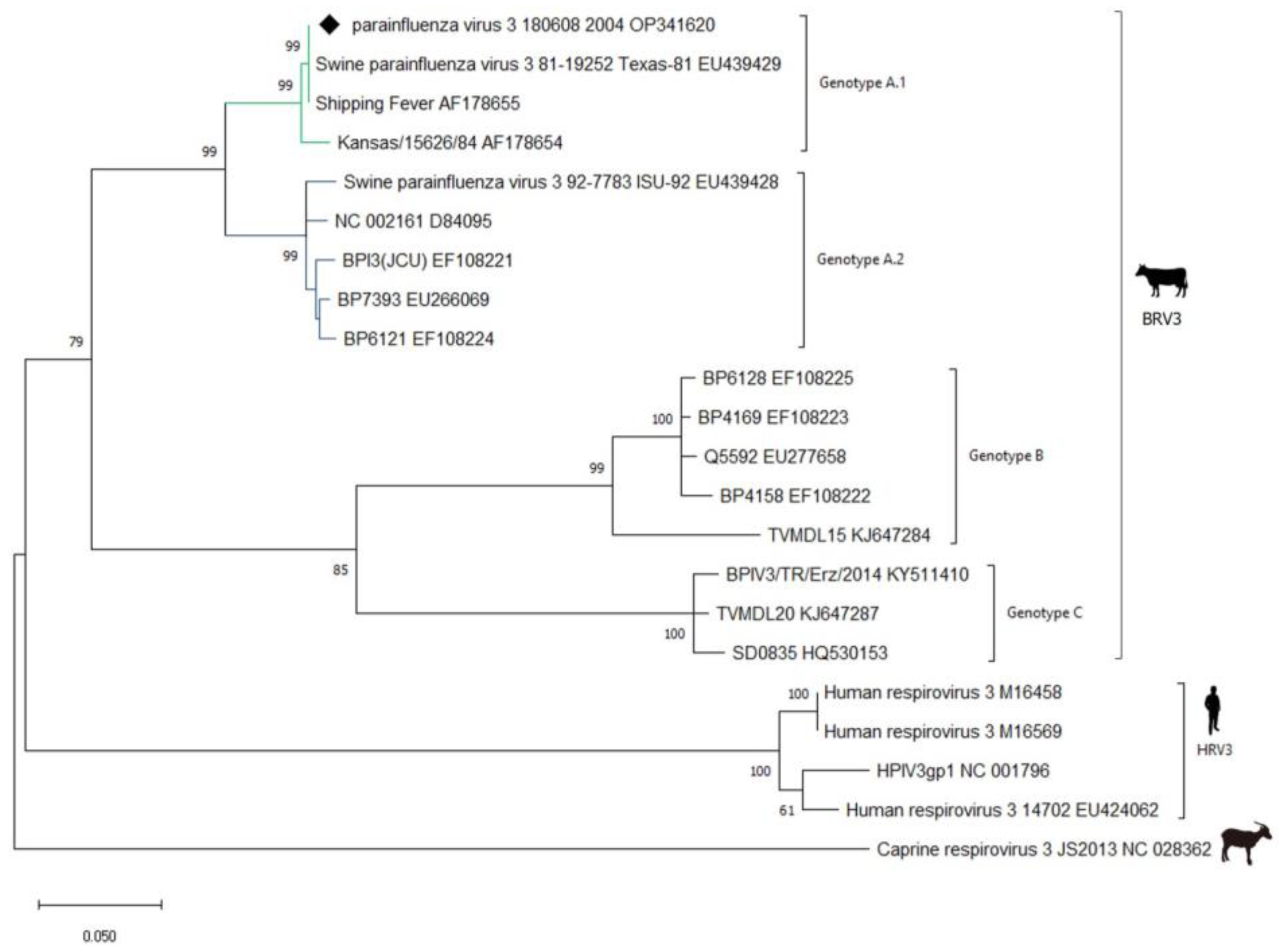 Animals 13 01815 g002