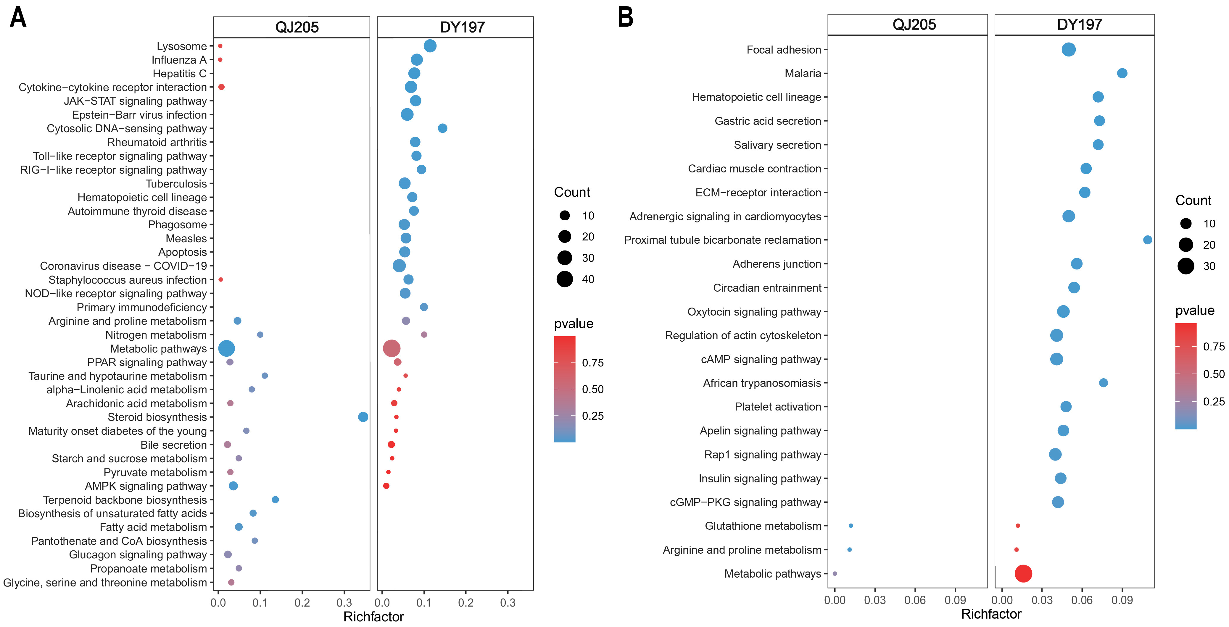 Animals 13 01870 g002