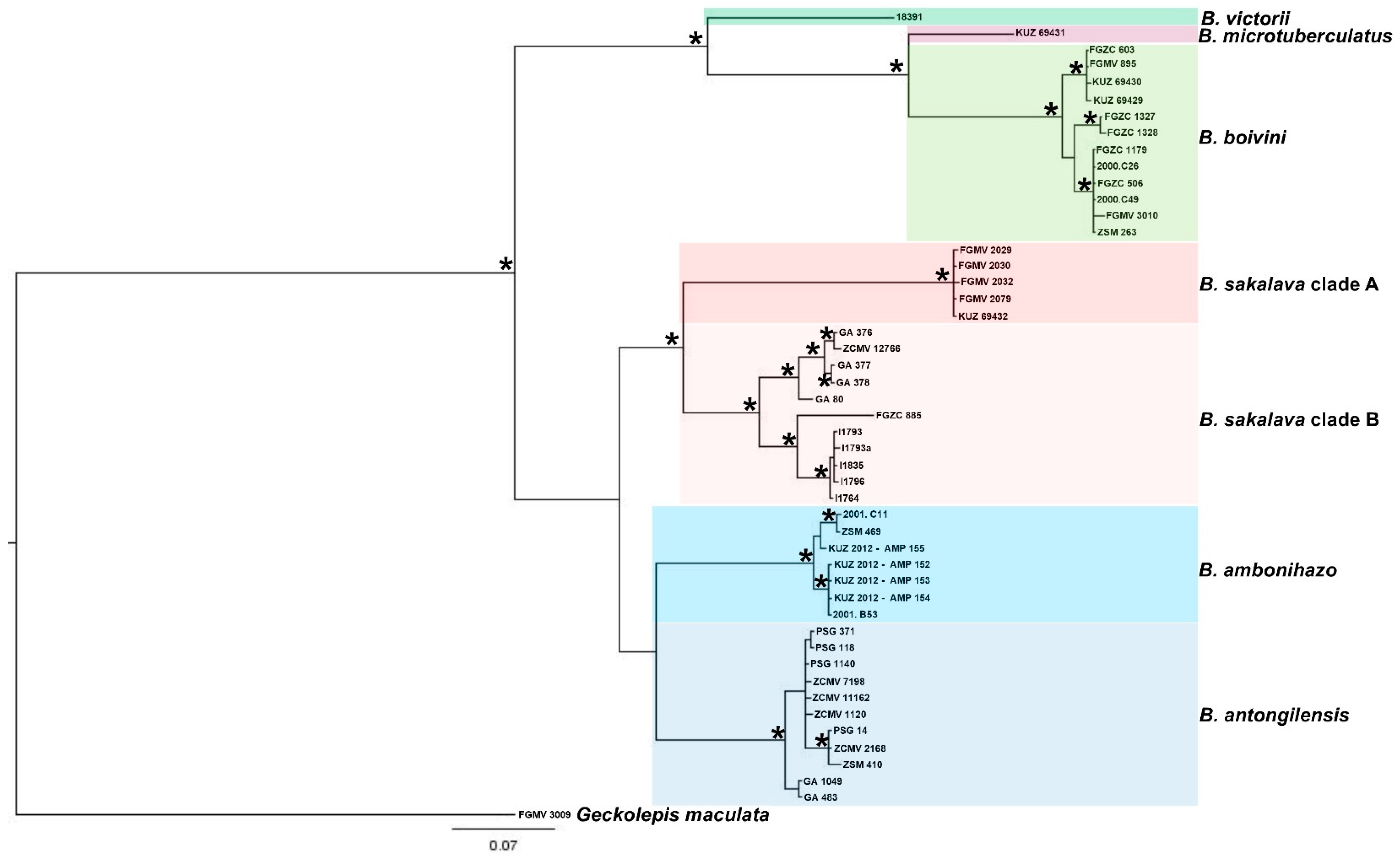 Animals 13 02068 g001