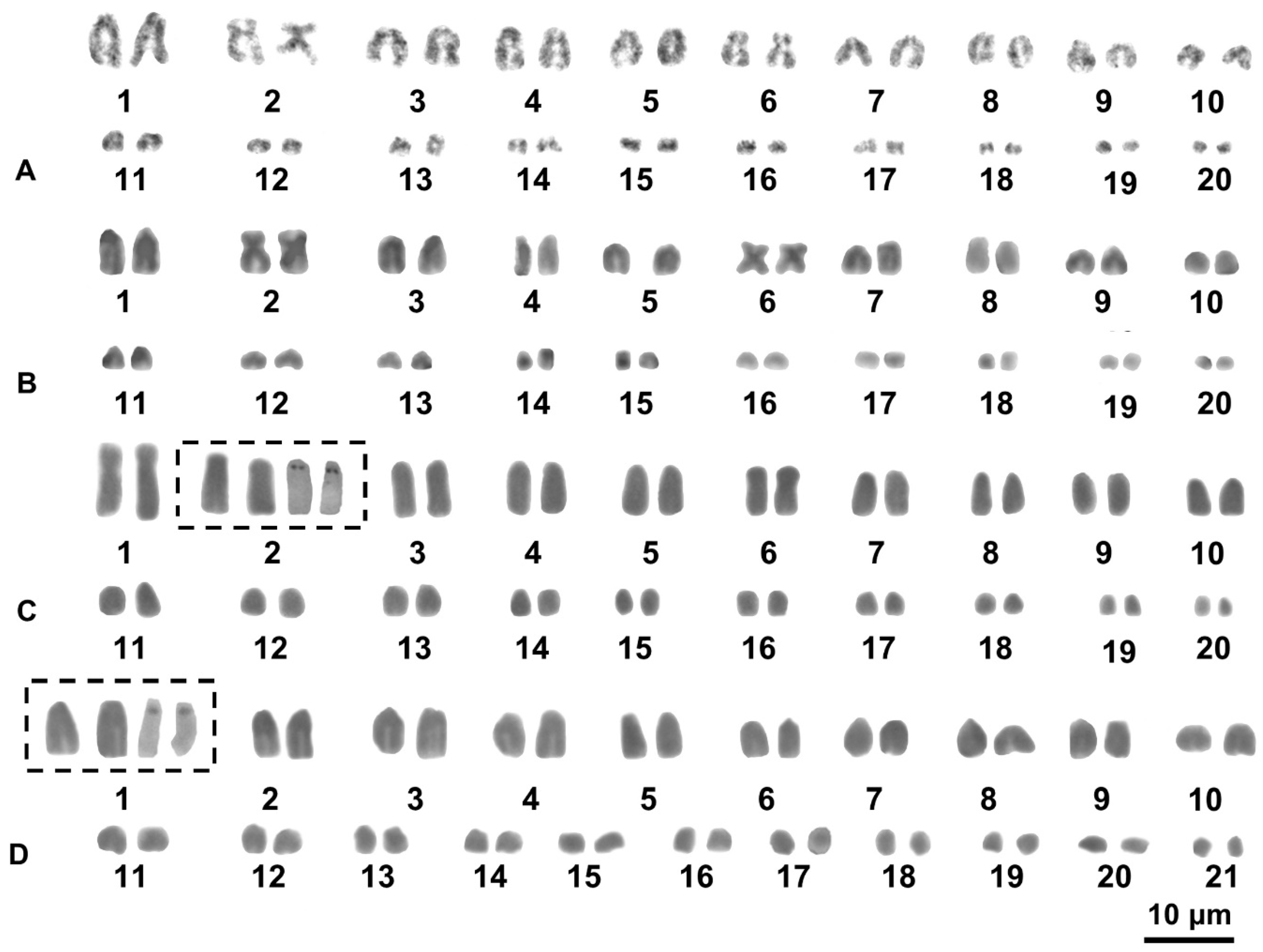 Animals 13 02068 g002