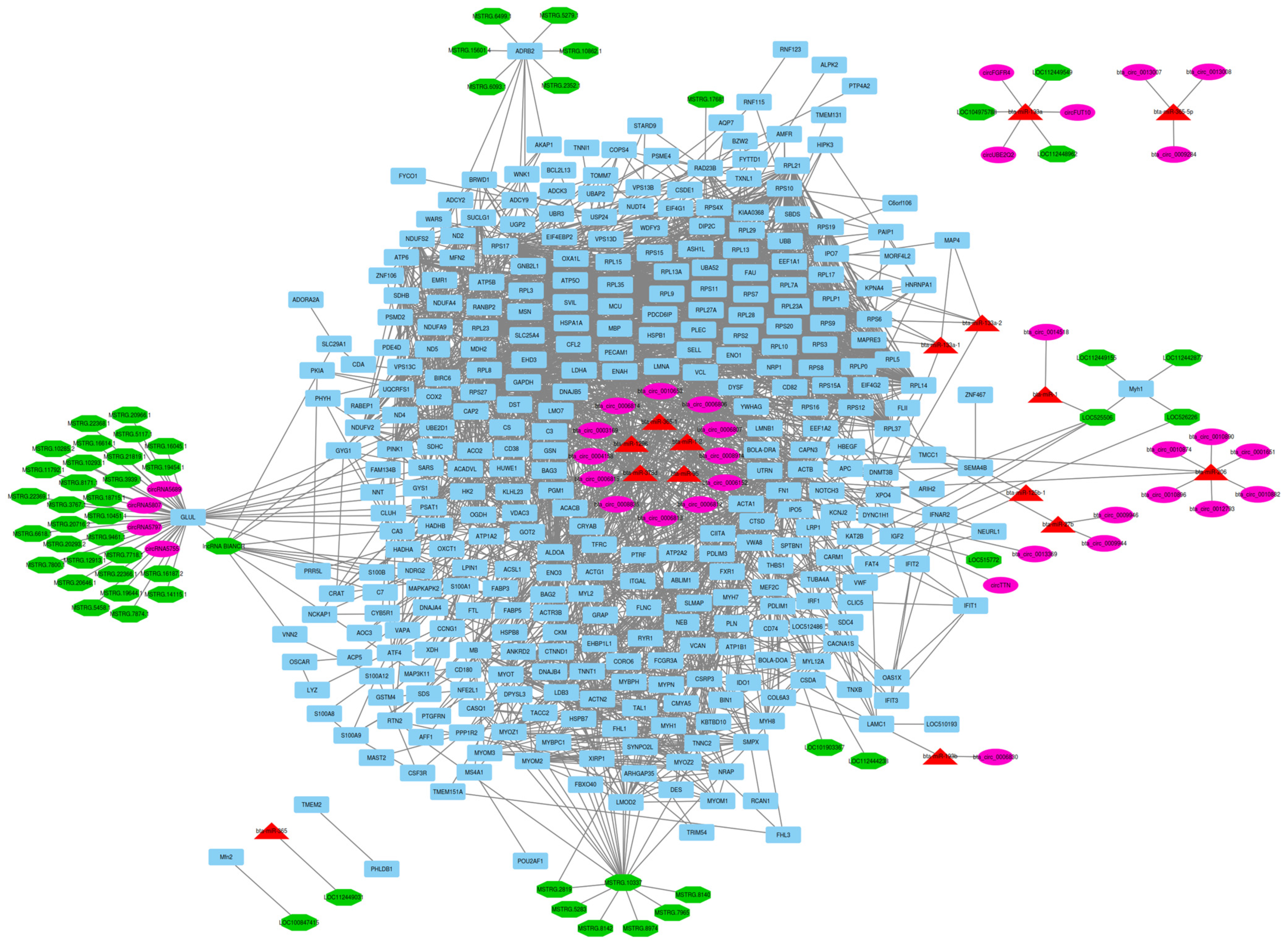 Animals 13 02598 g004