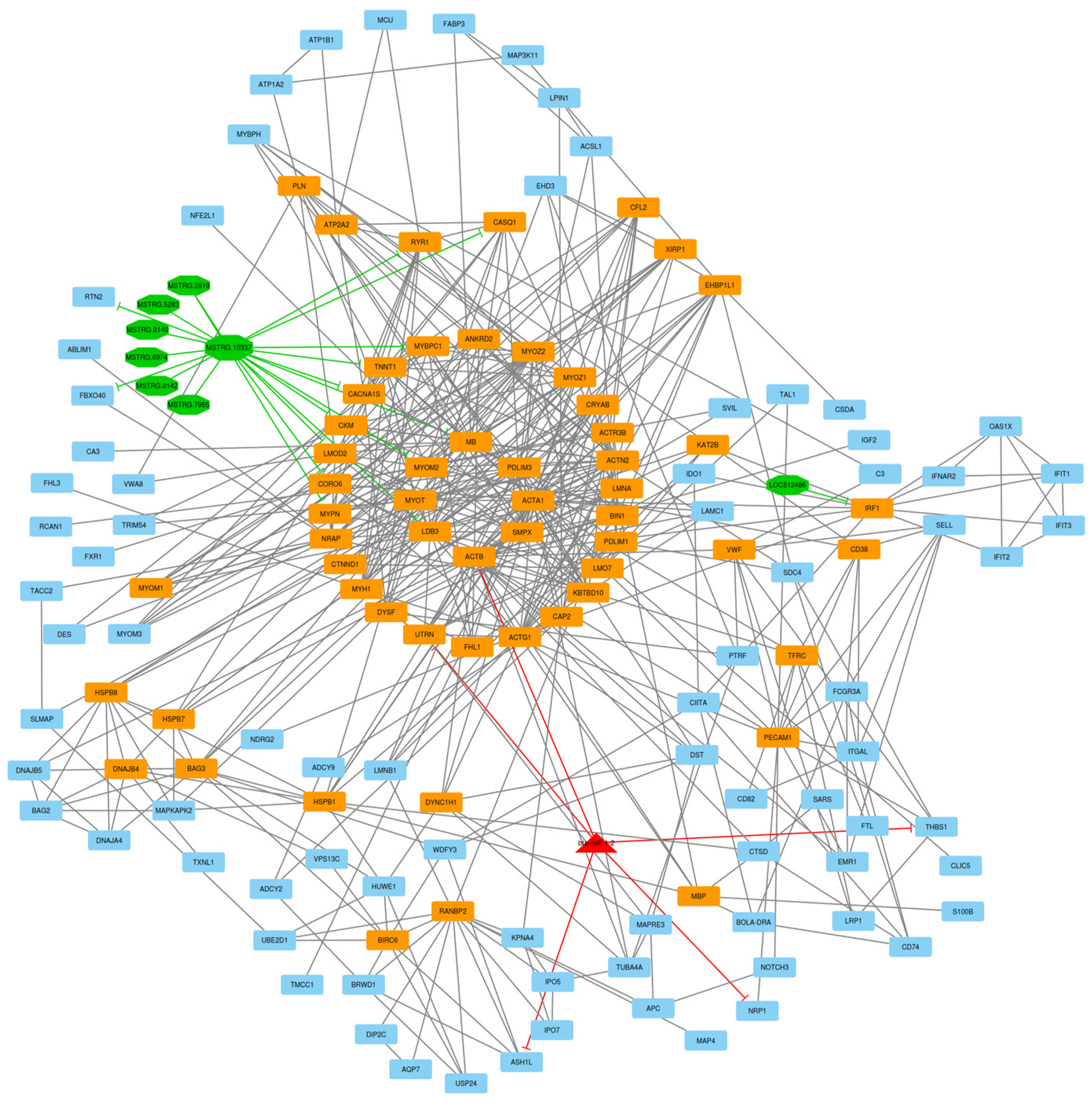 Animals 13 02598 g005