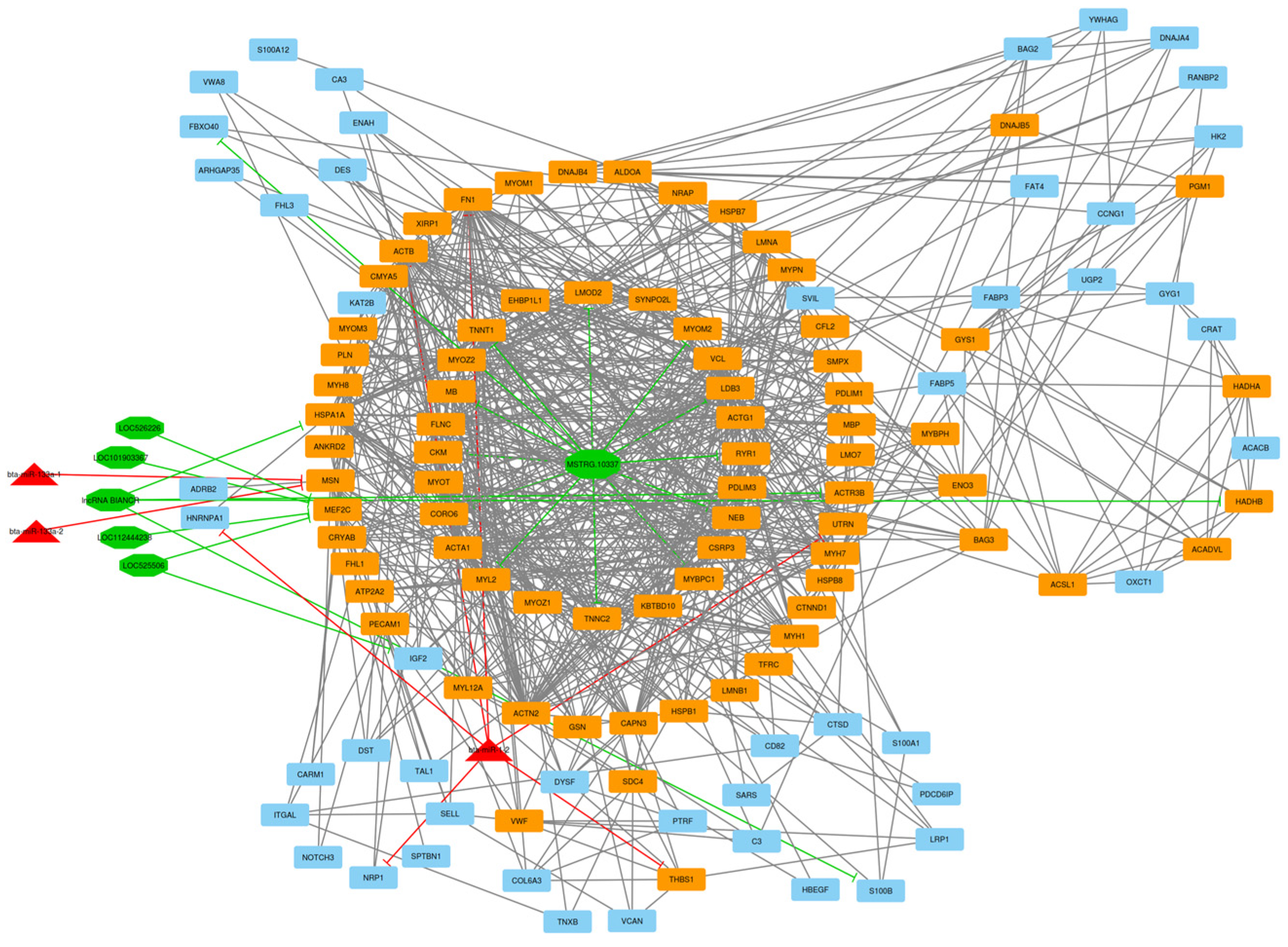 Animals 13 02598 g006