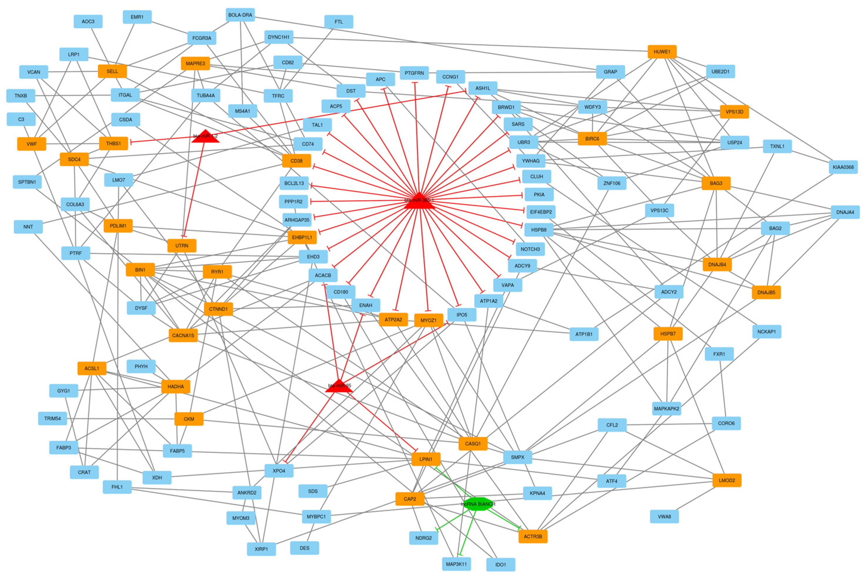 Animals 13 02598 g007