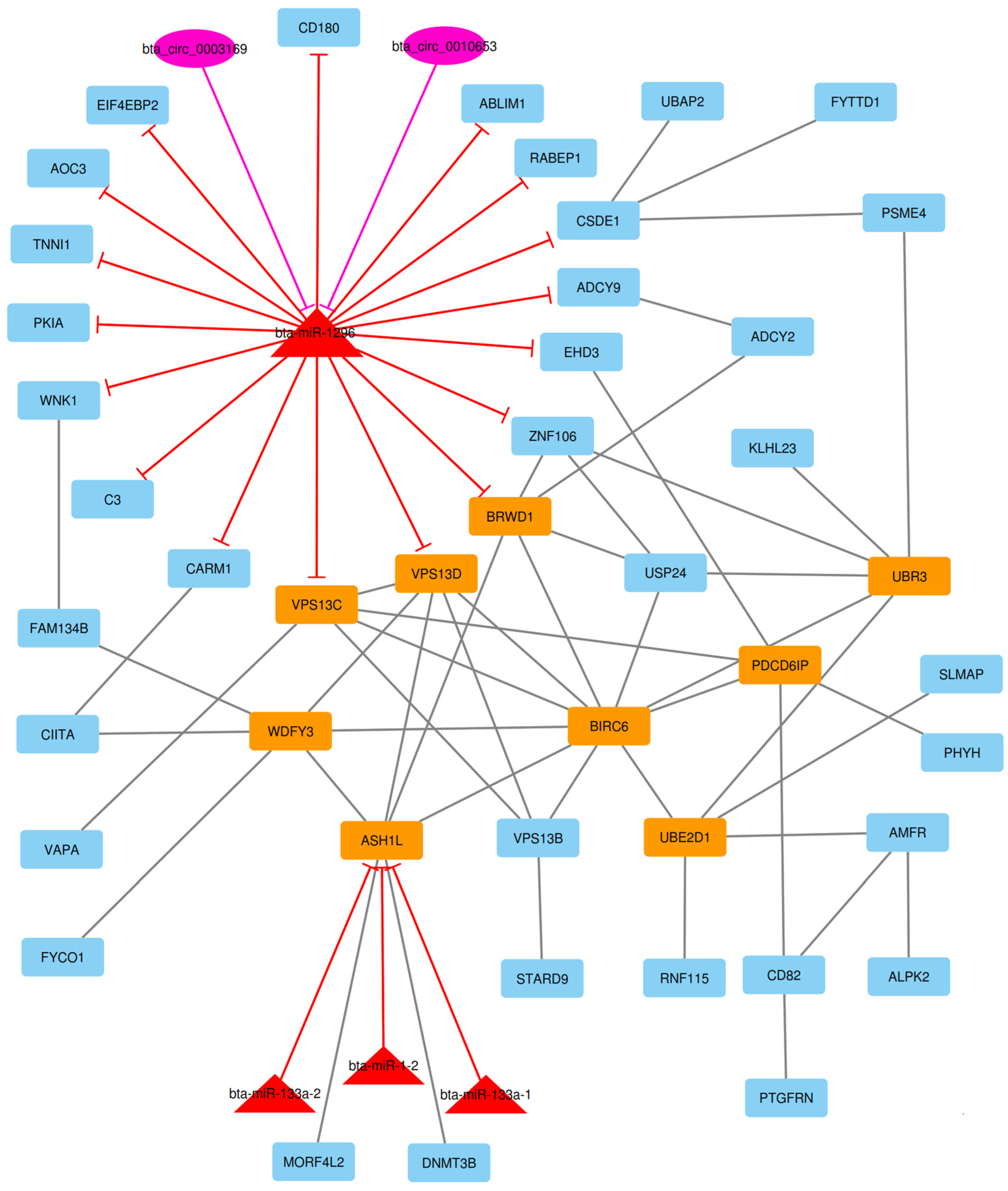 Animals 13 02598 g009