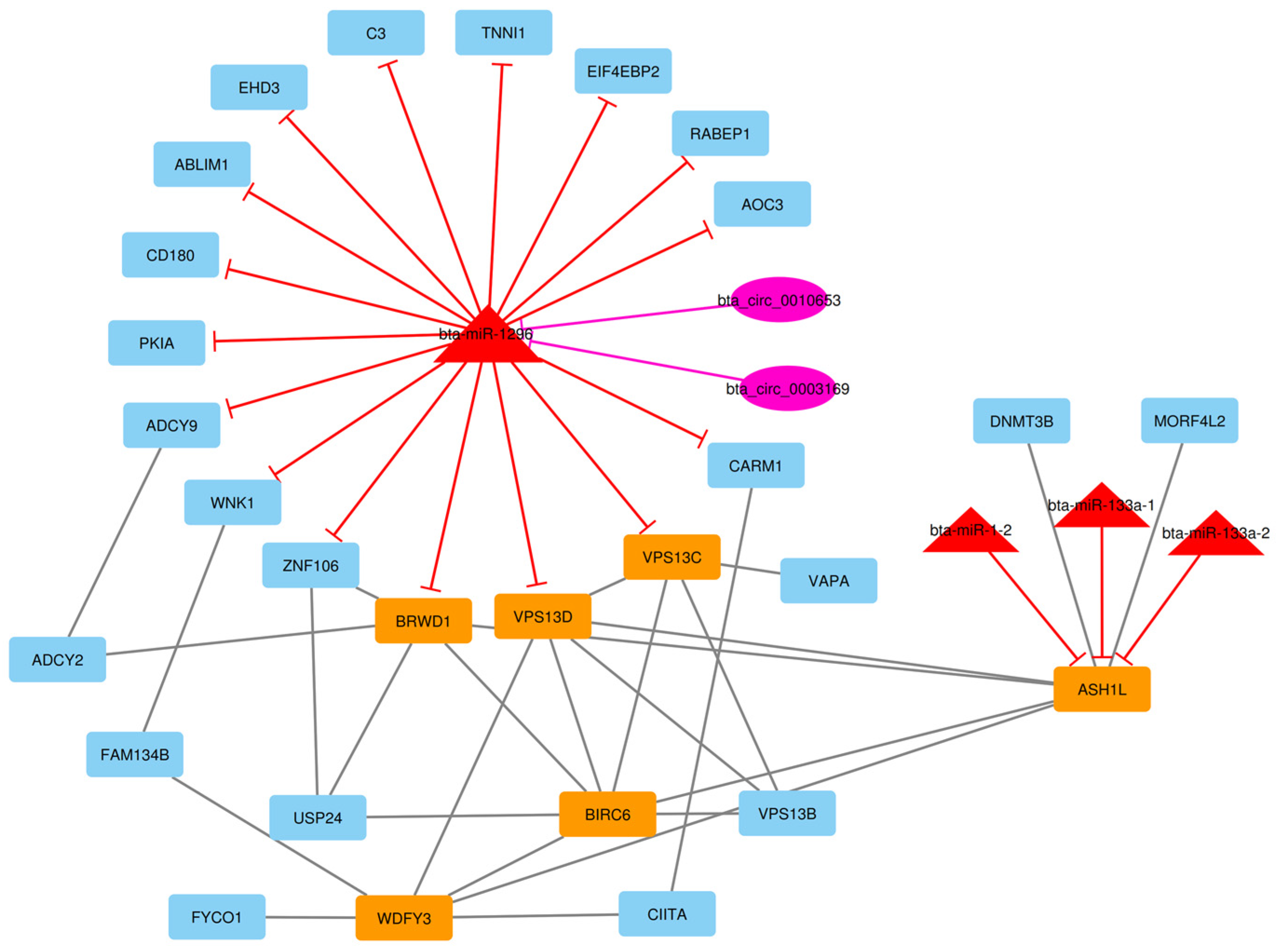 Animals 13 02598 g010