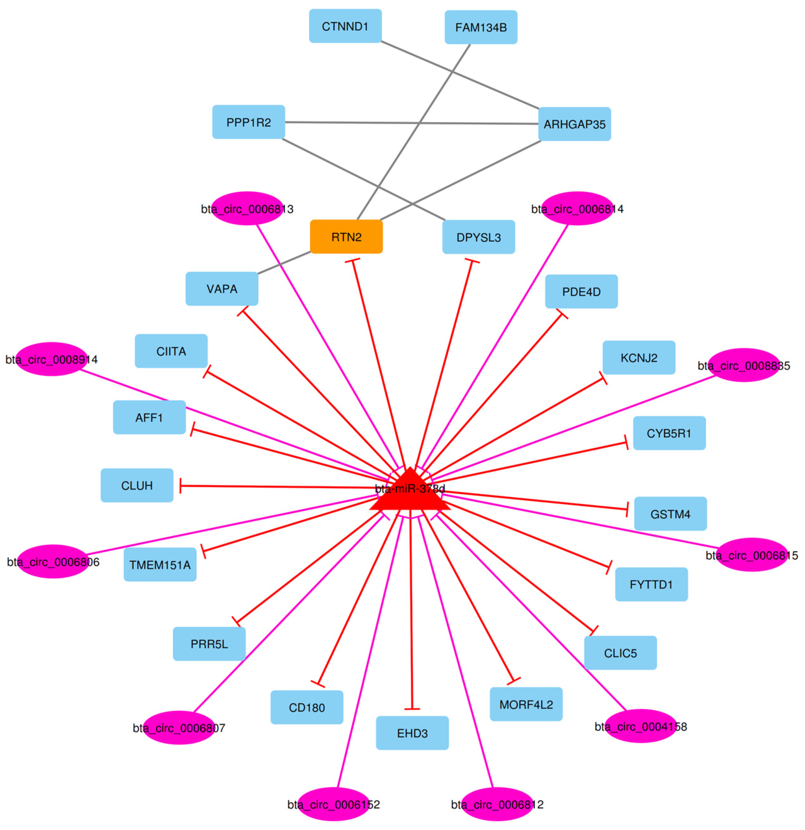 Animals 13 02598 g011