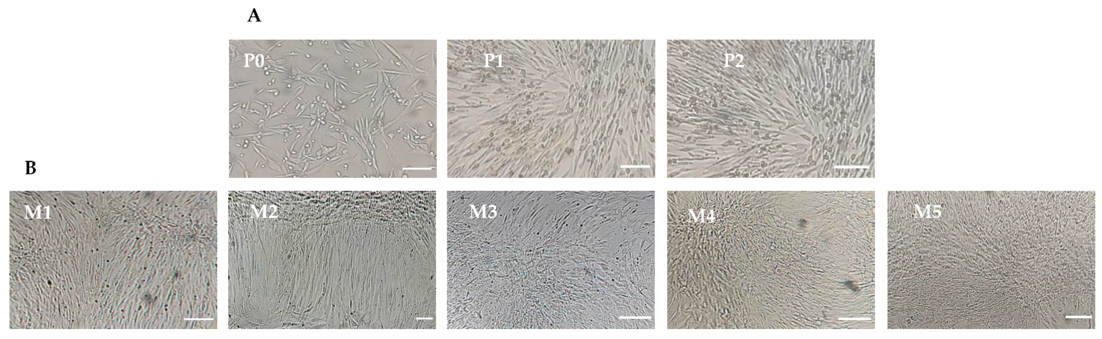 Animals 13 02655 g001