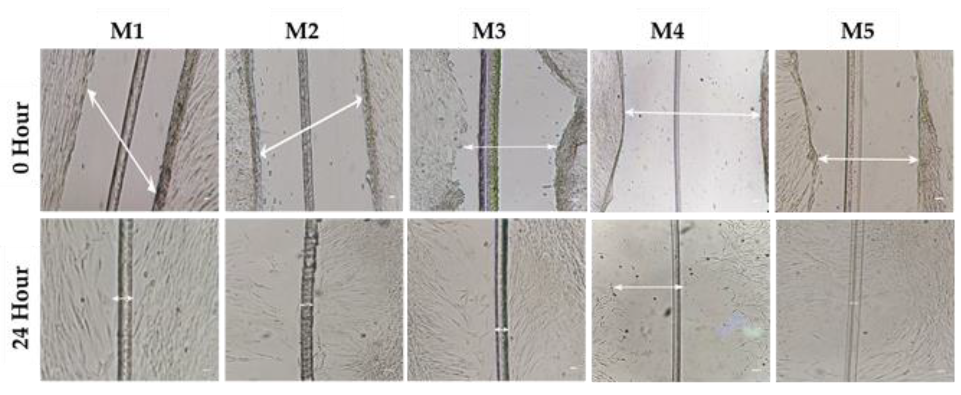 Animals 13 02655 g003