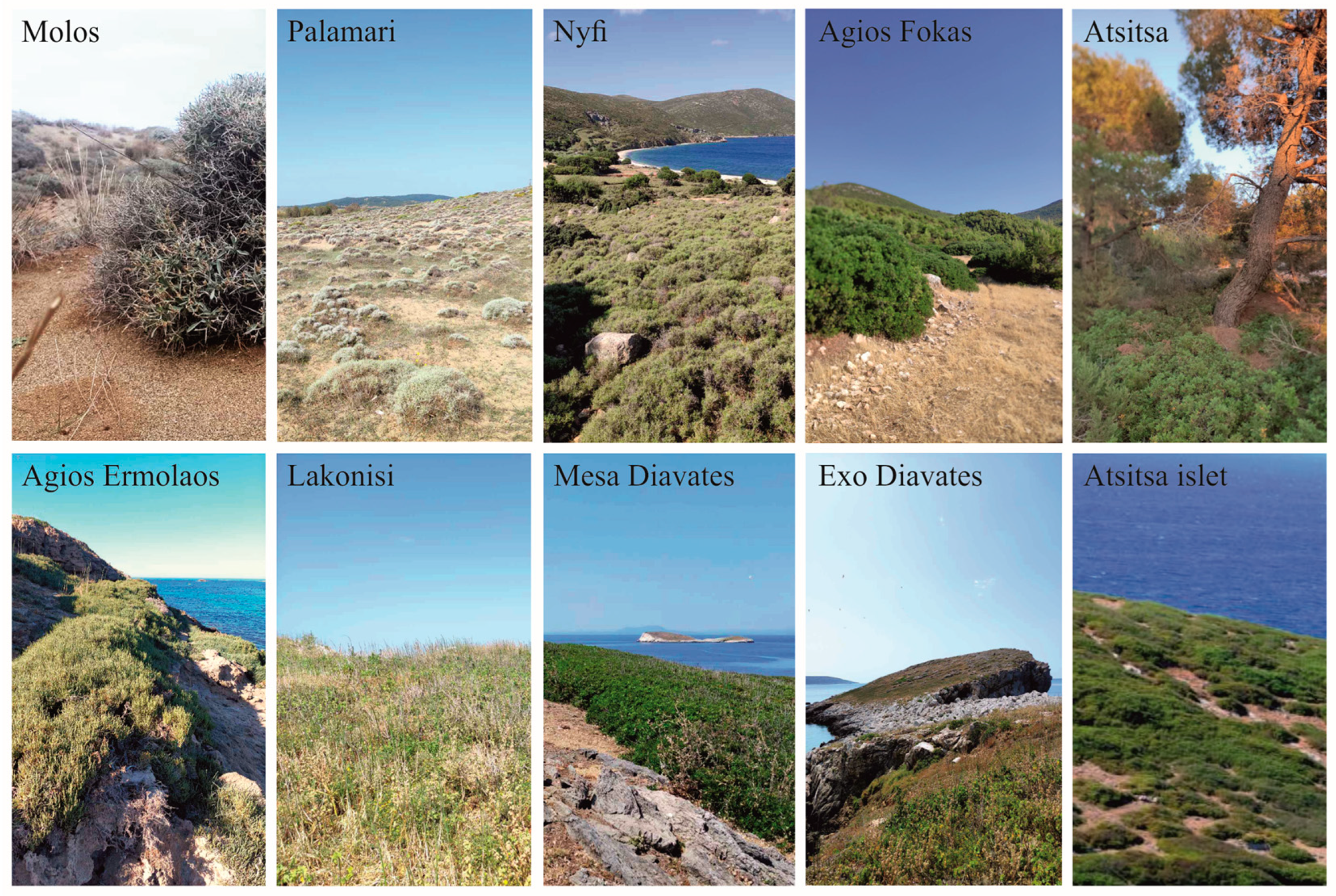 Animals 13 02965 g001b