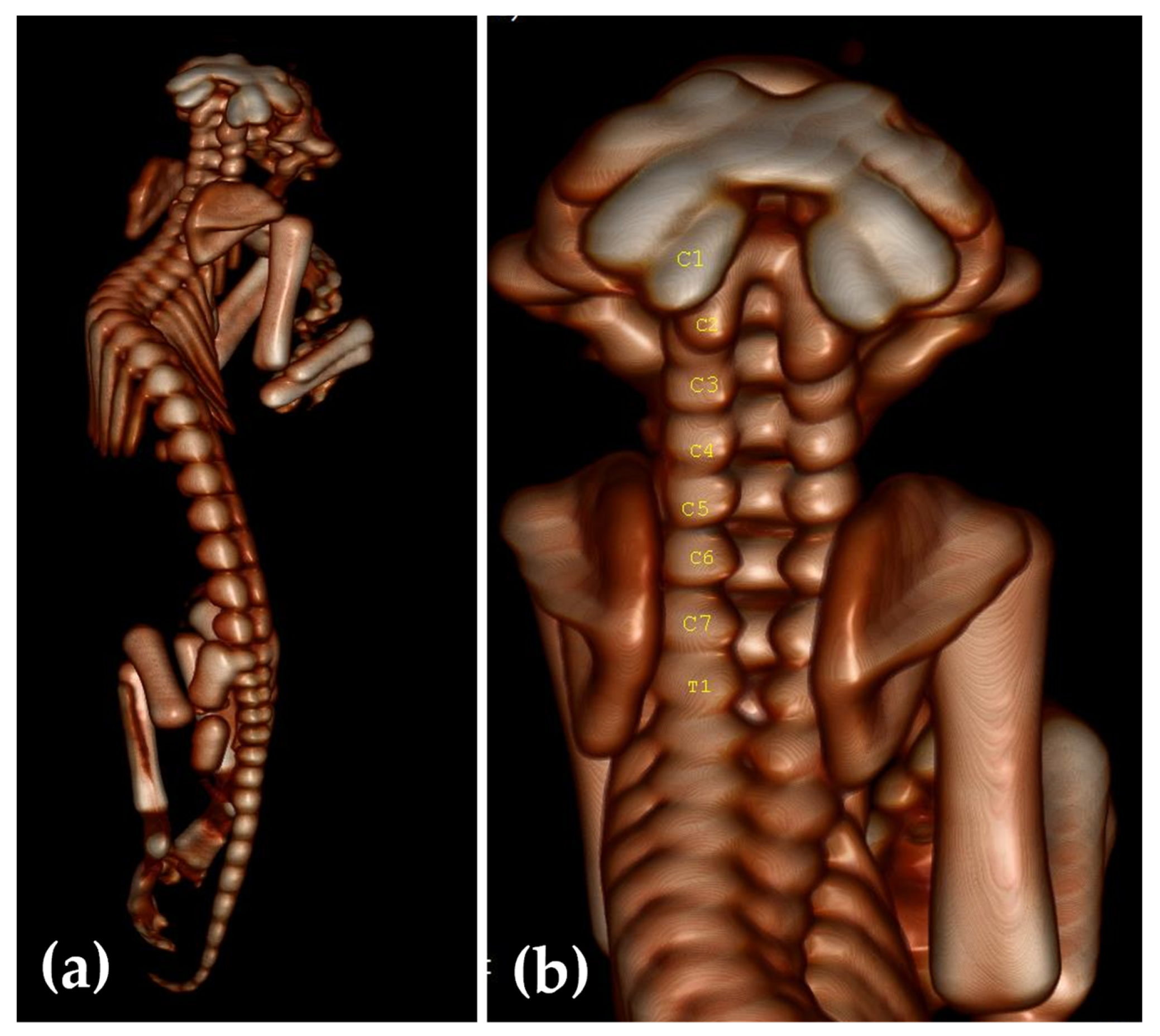 Animals 13 03882 g005 Animals 13 03882 g005