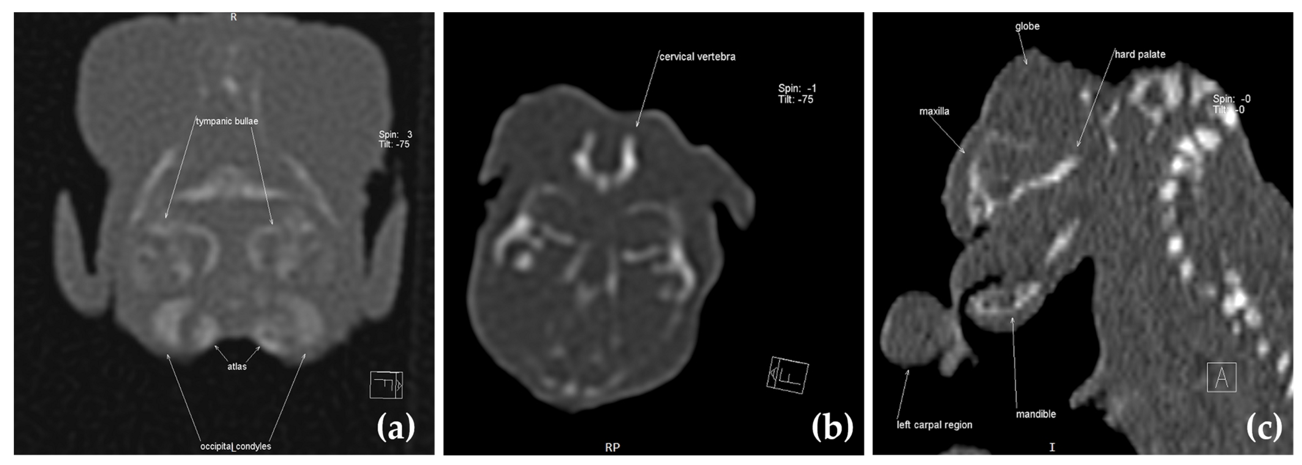 Animals 13 03882 g006 Animals 13 03882 g006