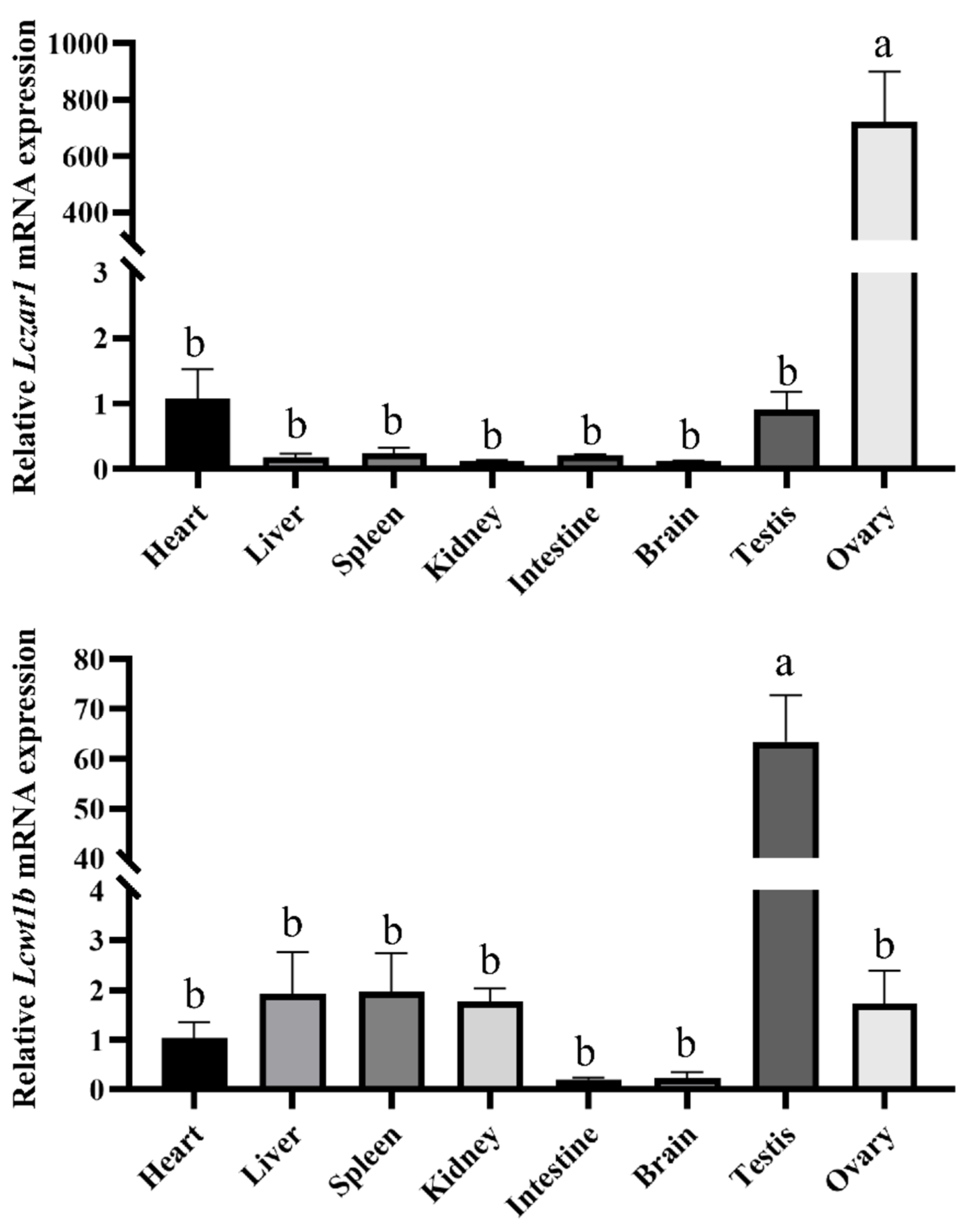 Animals 14 00508 g004