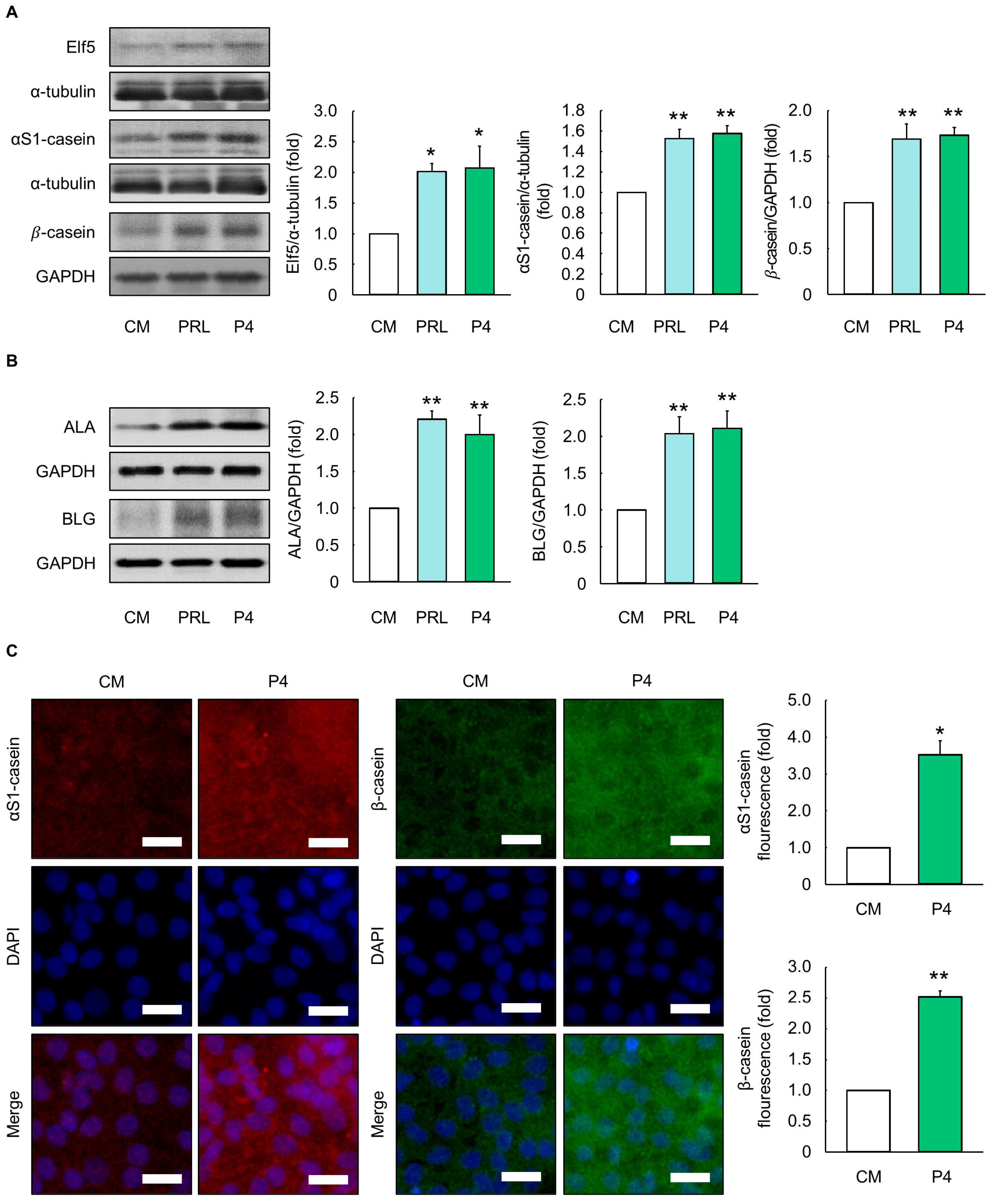 Animals 14 00642 g003