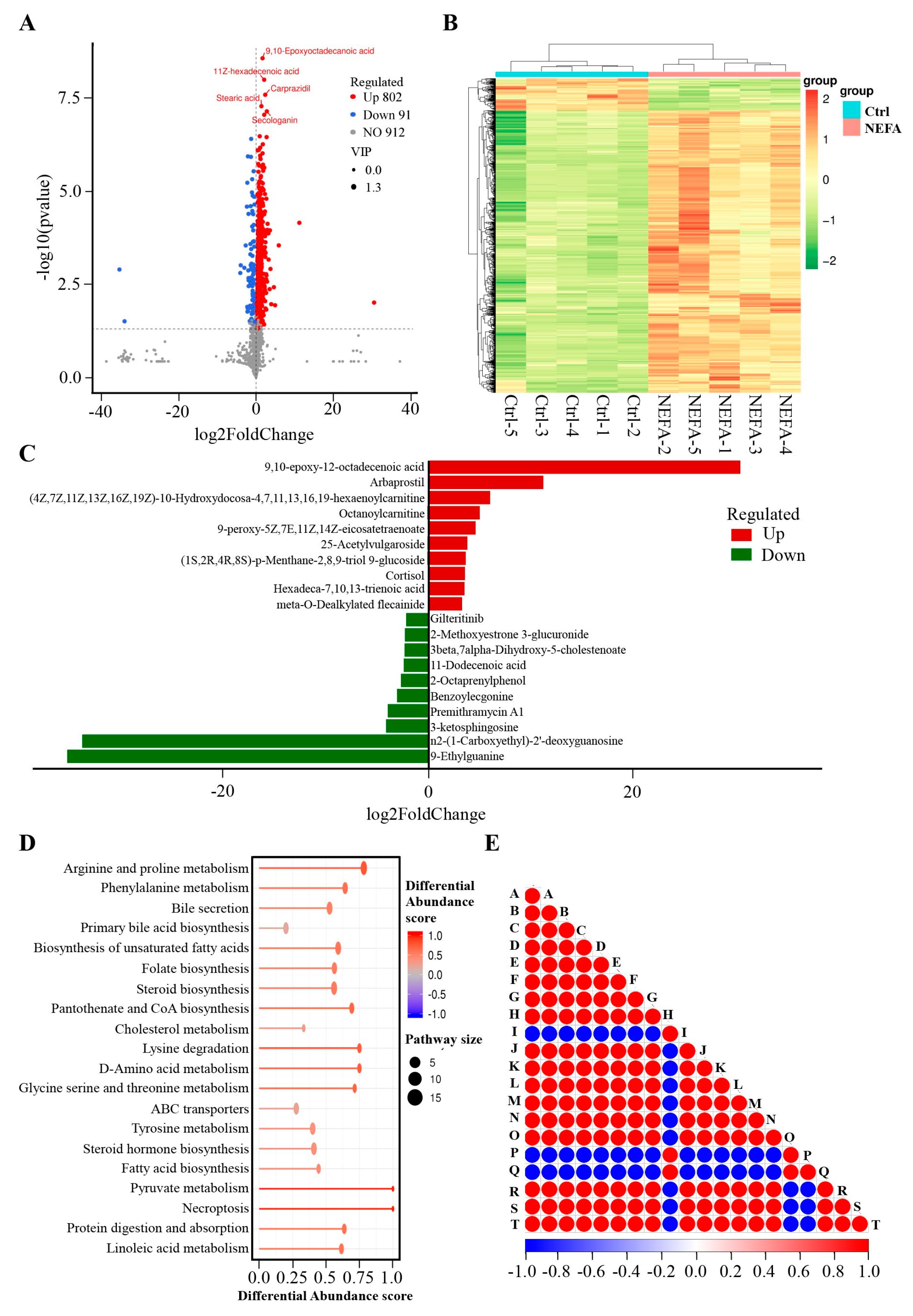 Animals 14 01045 g001