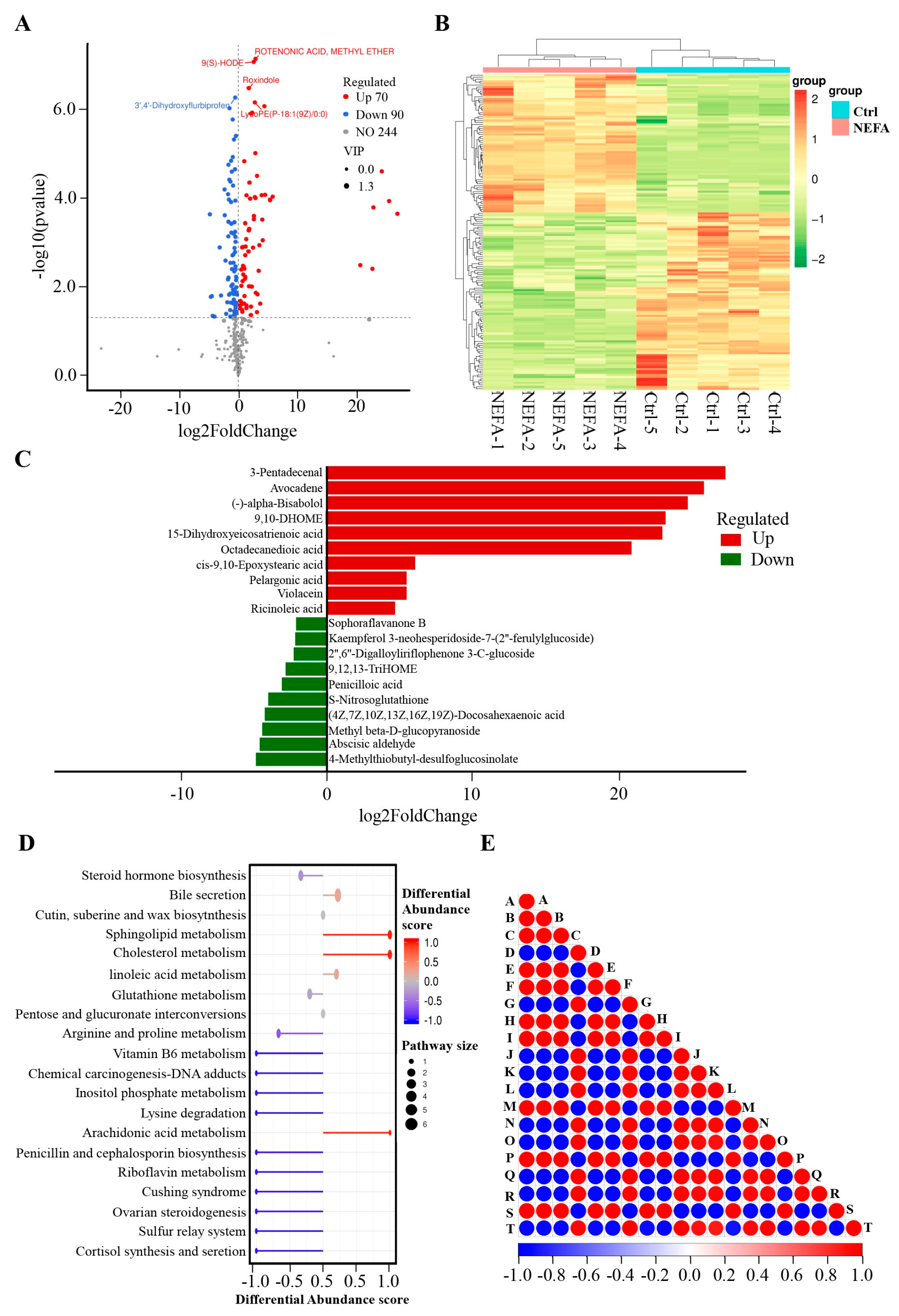Animals 14 01045 g002