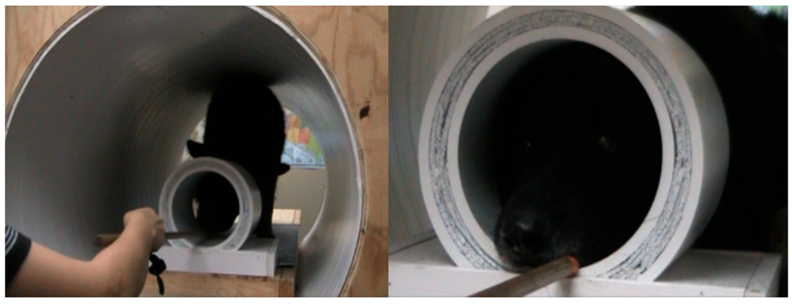 Animals 14 01082 g002