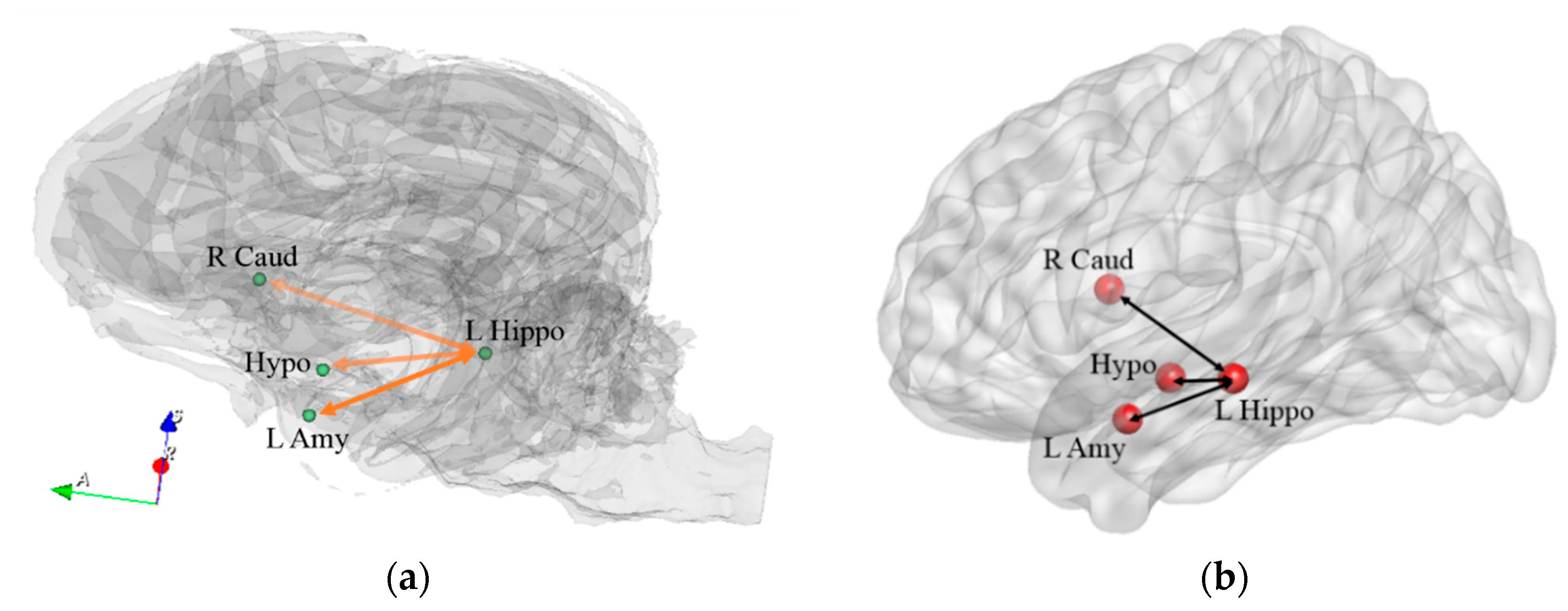 Animals 14 01082 g011