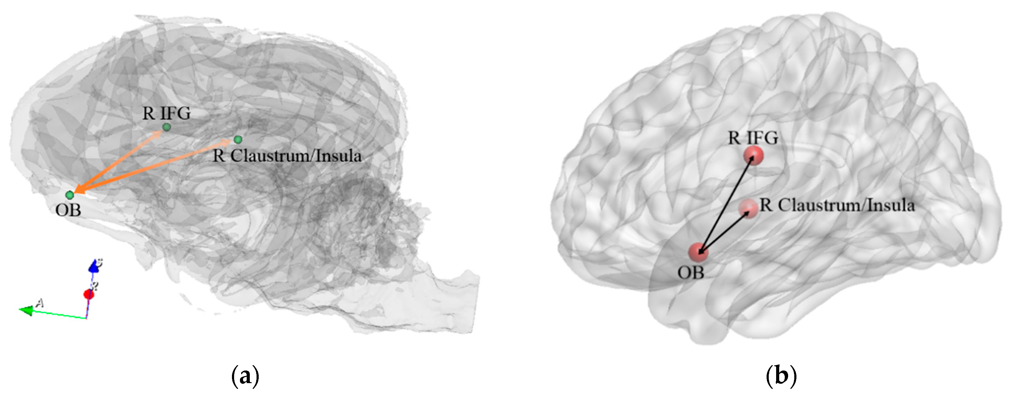 Animals 14 01082 g012