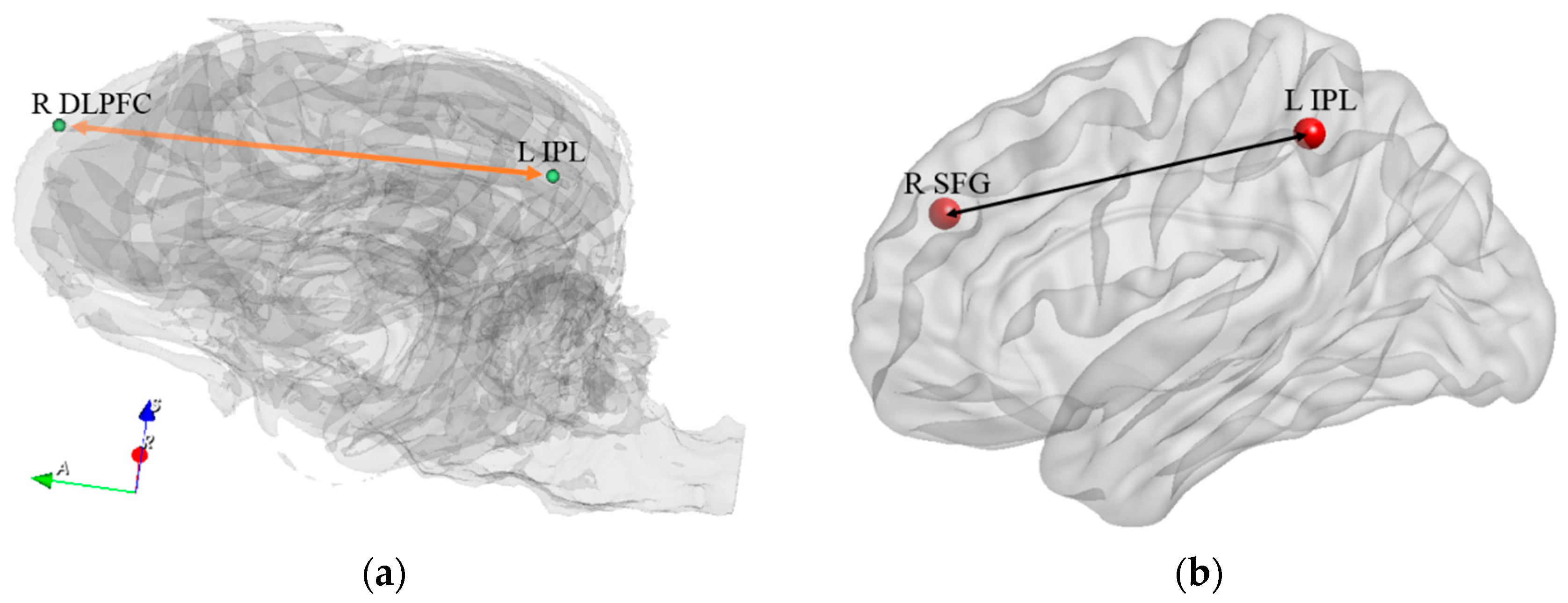 Animals 14 01082 g013