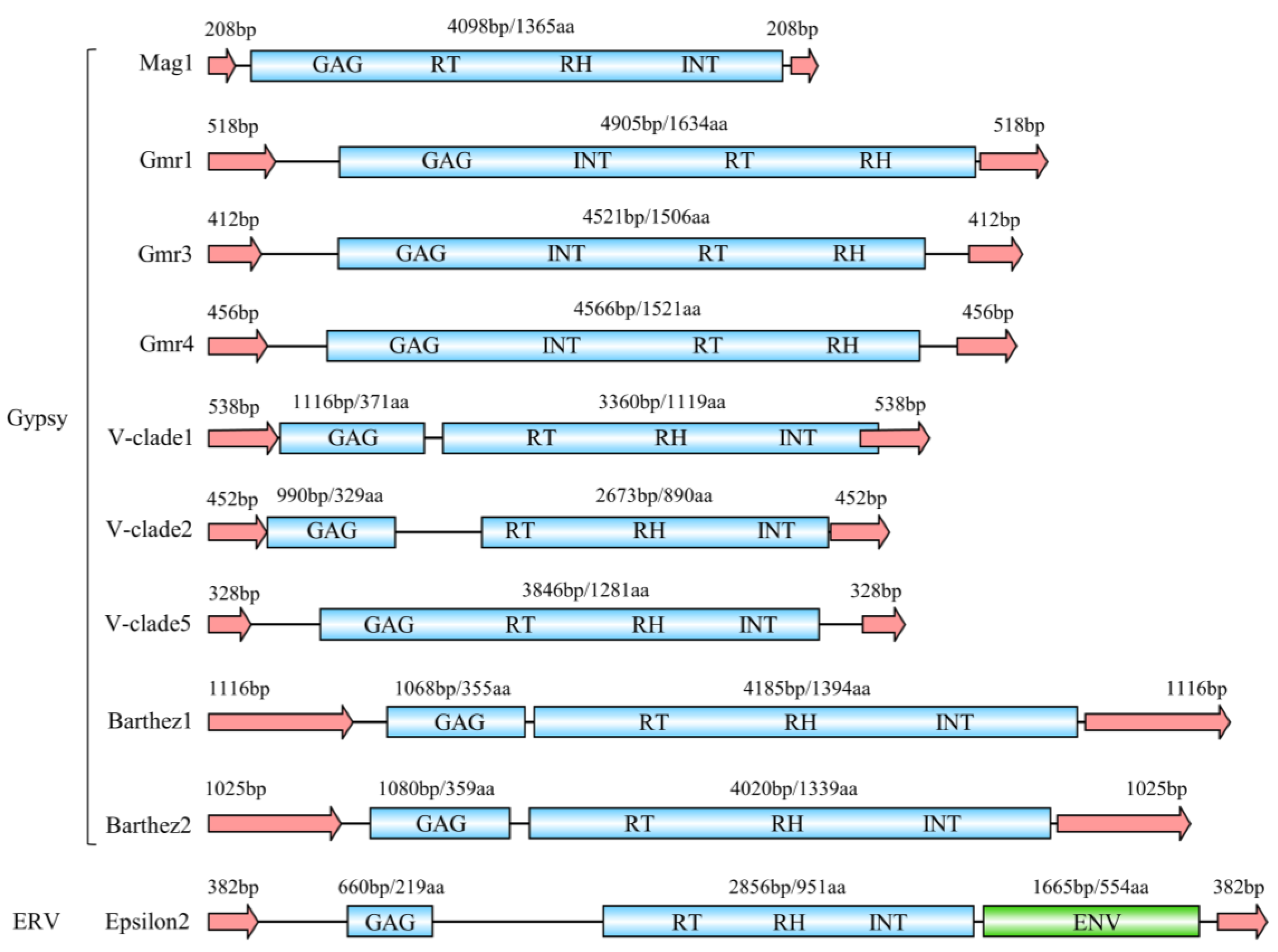 Animals 14 01425 g003