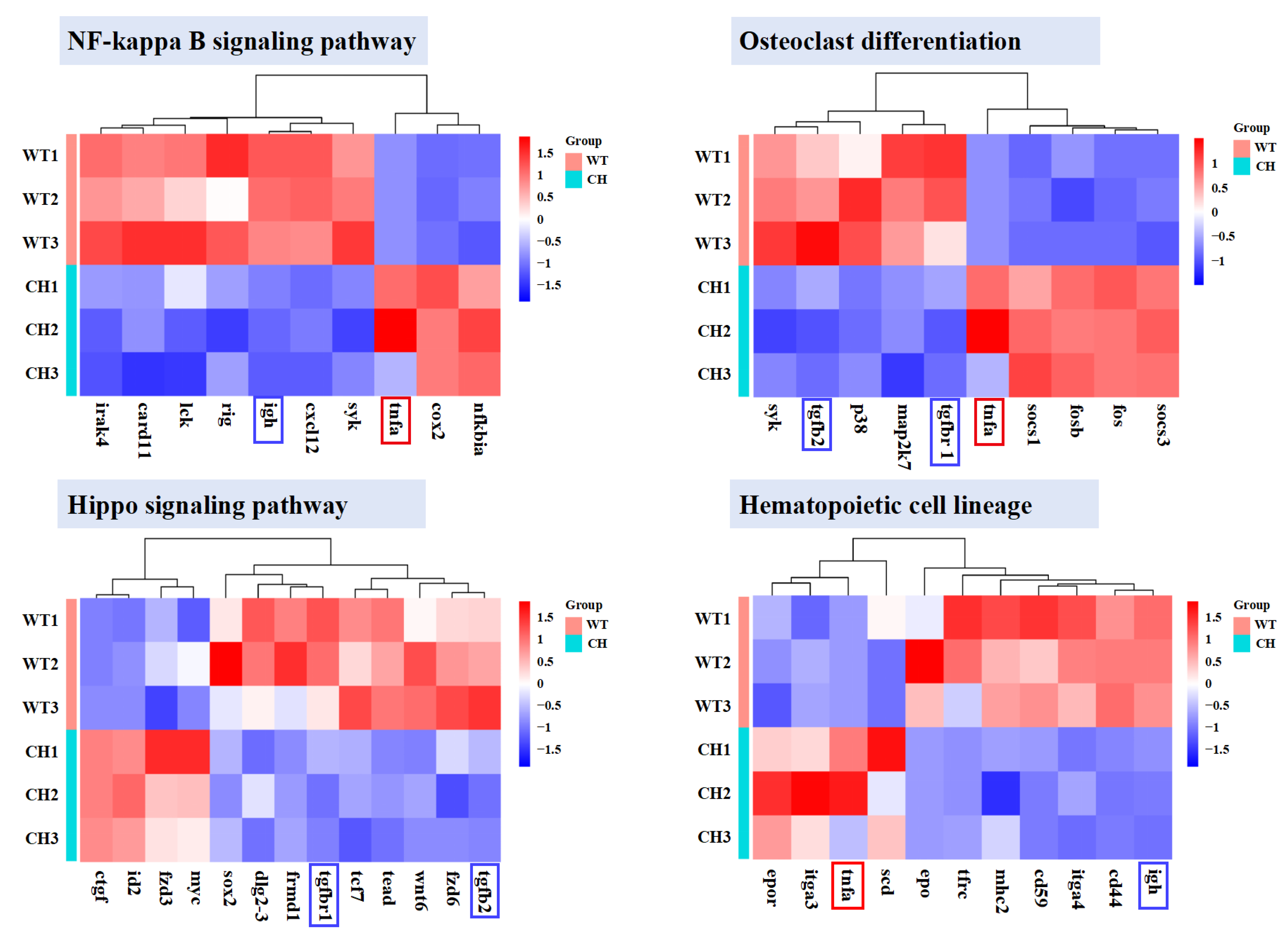 Animals 14 01451 g005