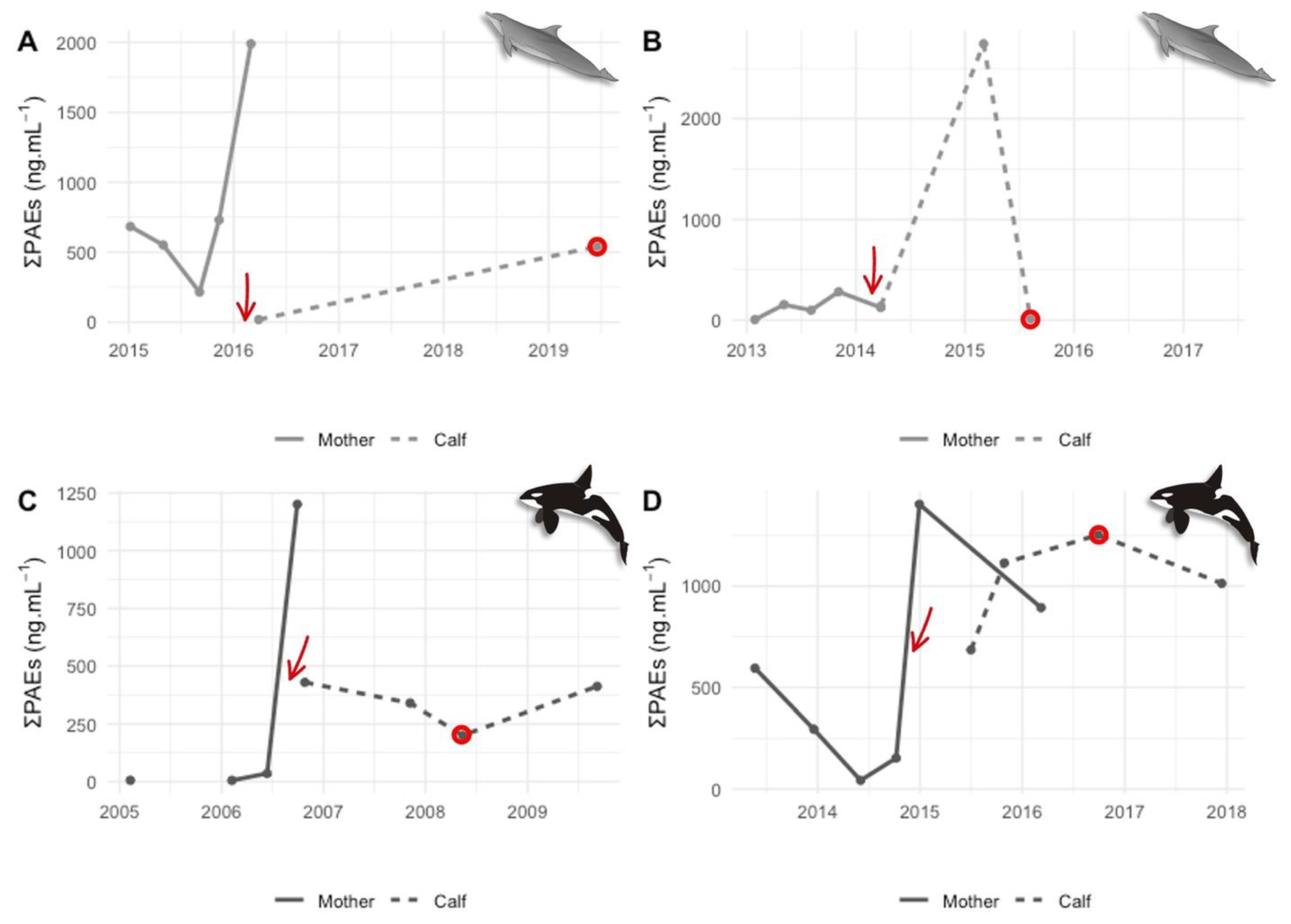 Animals 14 01488 g004