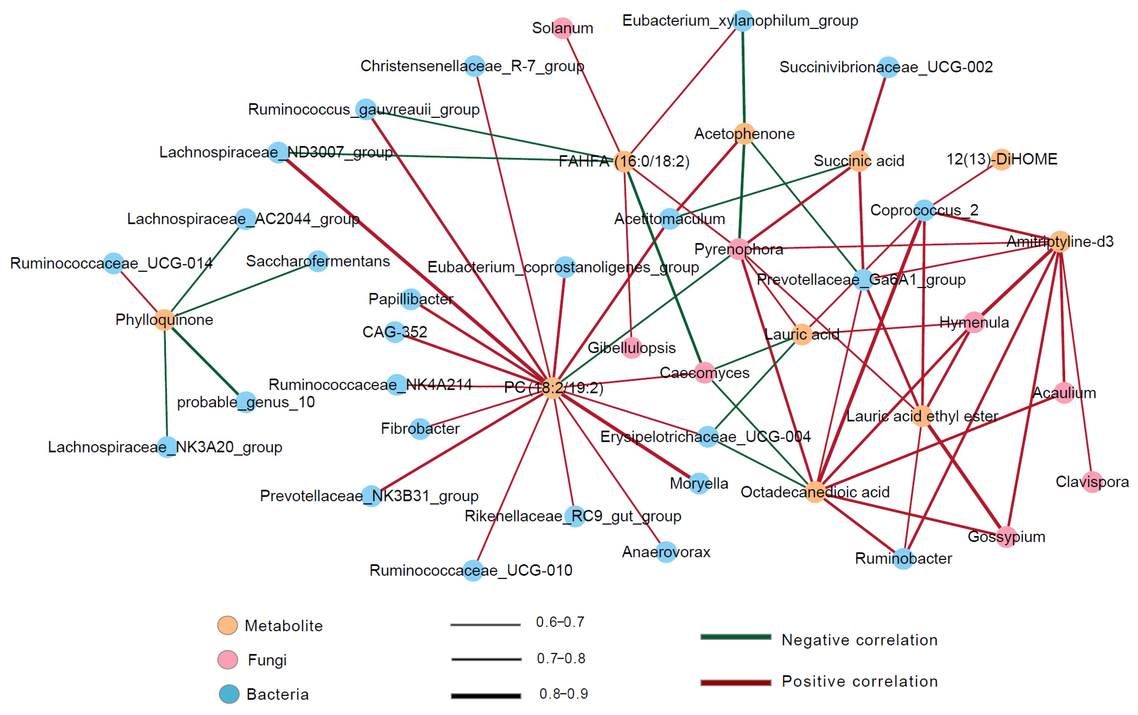 Animals 14 01493 g005