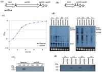 Antibiotics 02 00011 g001 200