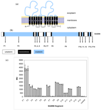 Antibiotics 02 00011 g002 200