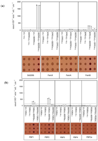 Antibiotics 02 00011 g003 200