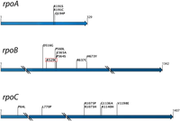 Antibiotics 02 00206 g002 200