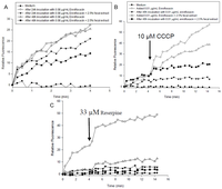 Antibiotics 02 00485 g004 200