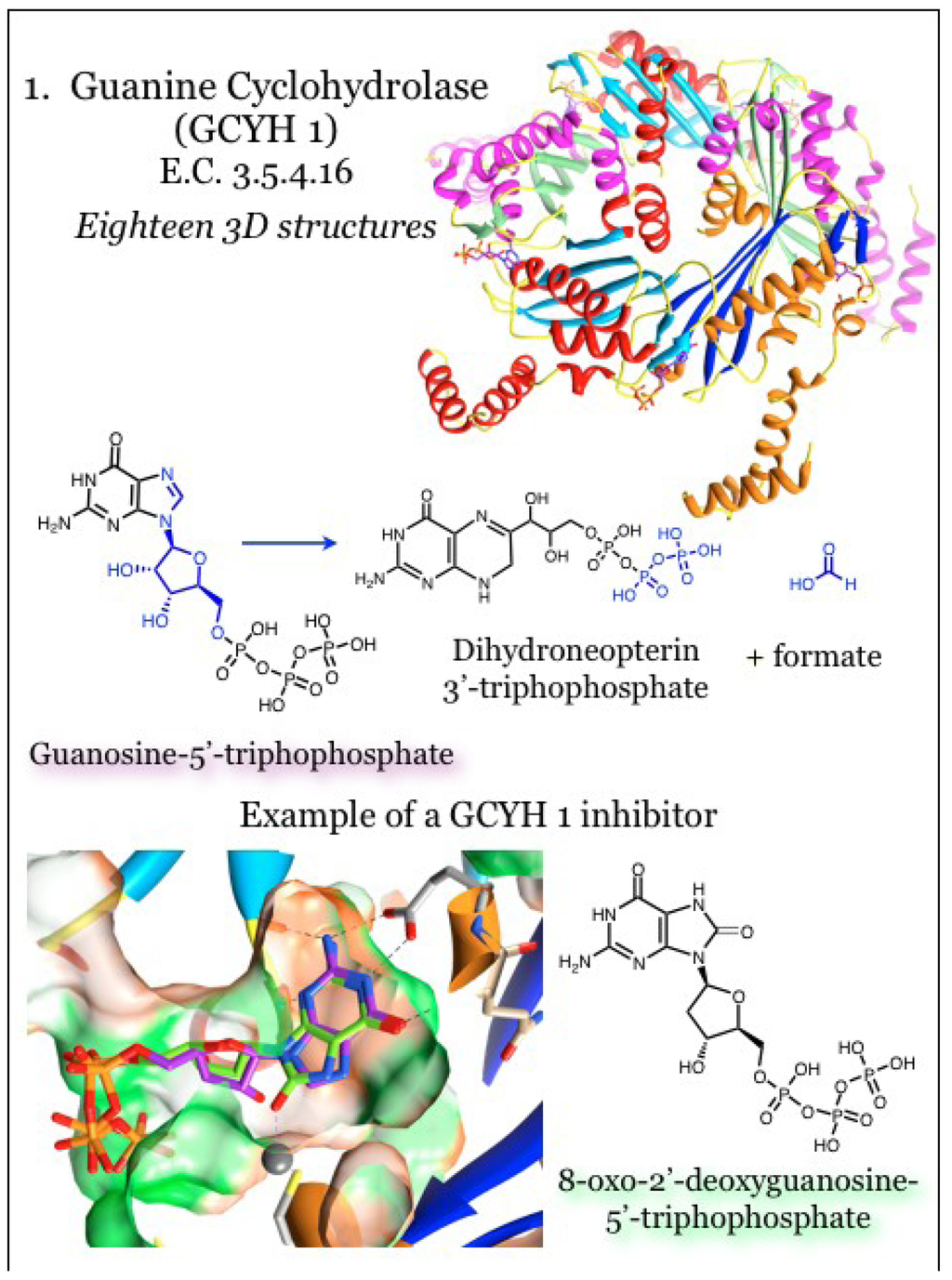 Antibiotics 03 00001 g001 1024
