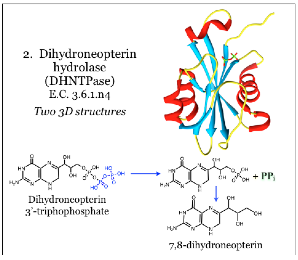 Antibiotics 03 00001 g002 1024