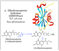 Antibiotics 03 00001 g002 200