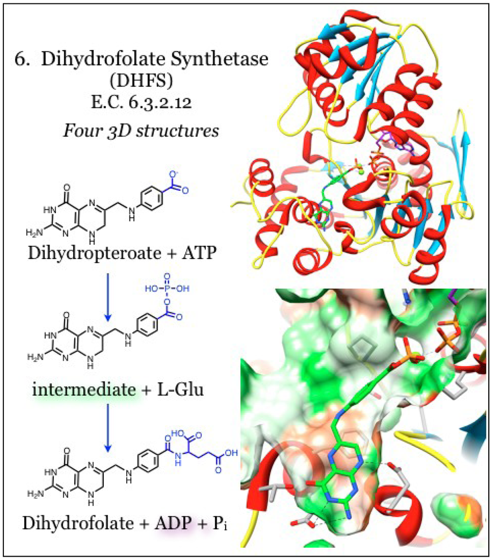Antibiotics 03 00001 g006 1024