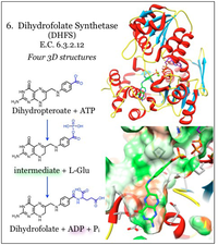 Antibiotics 03 00001 g006 200