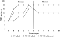 Antibiotics 03 00049 g002 200
