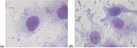 Antibiotics 03 00143 g003 200