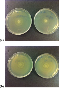 Antibiotics 03 00143 g006 200