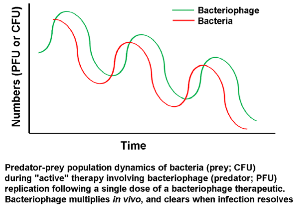 Antibiotics 03 00270 g005 1024